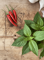 Basil Holy Thai - REGN