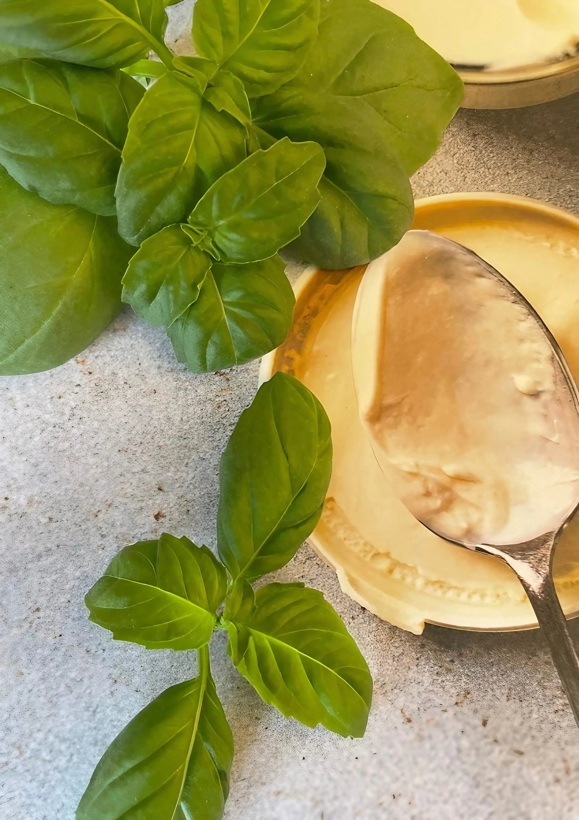 Basil Thai Large Leaf - REGN