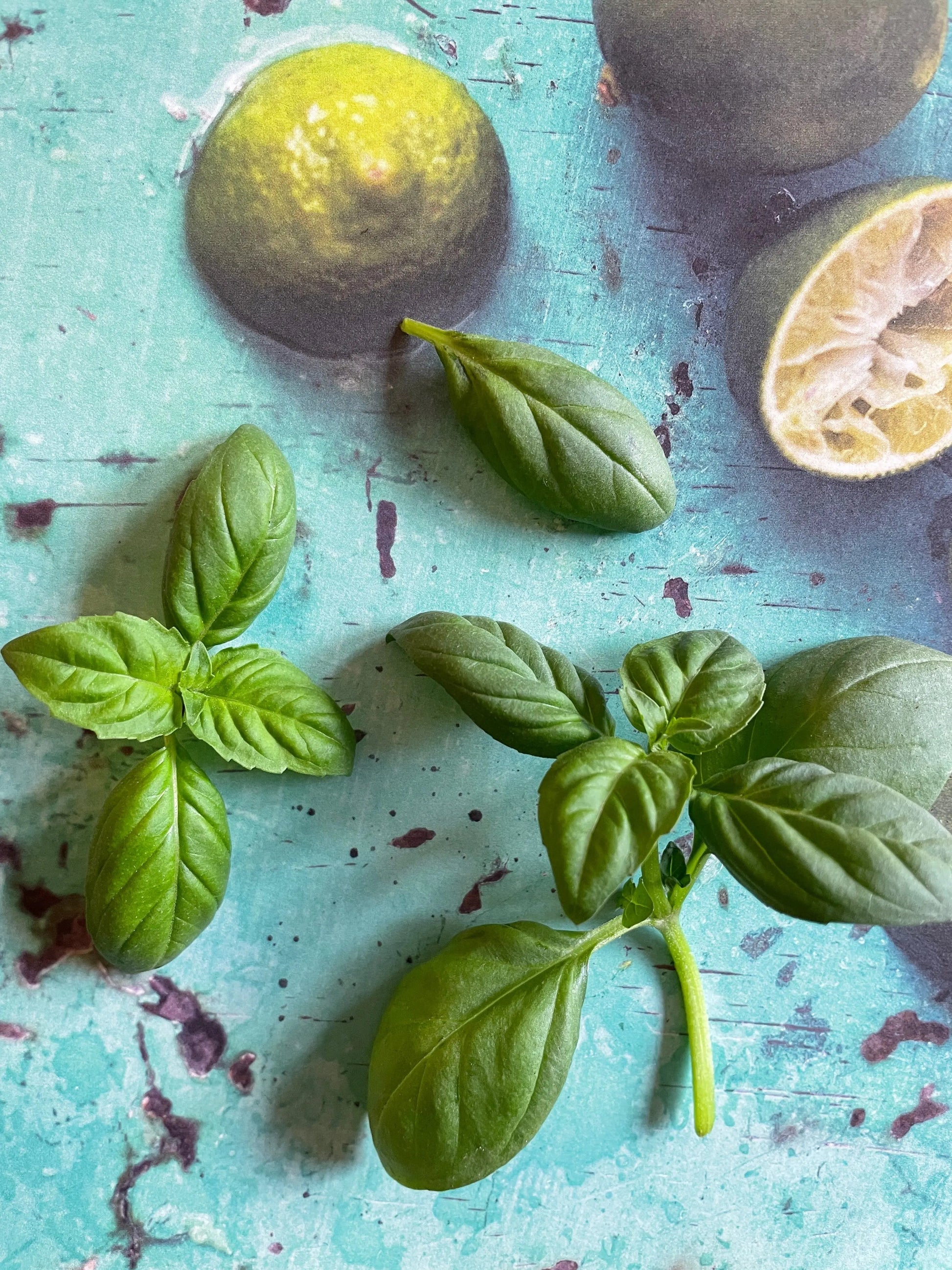 Basil Thai Large Leaf - REGN