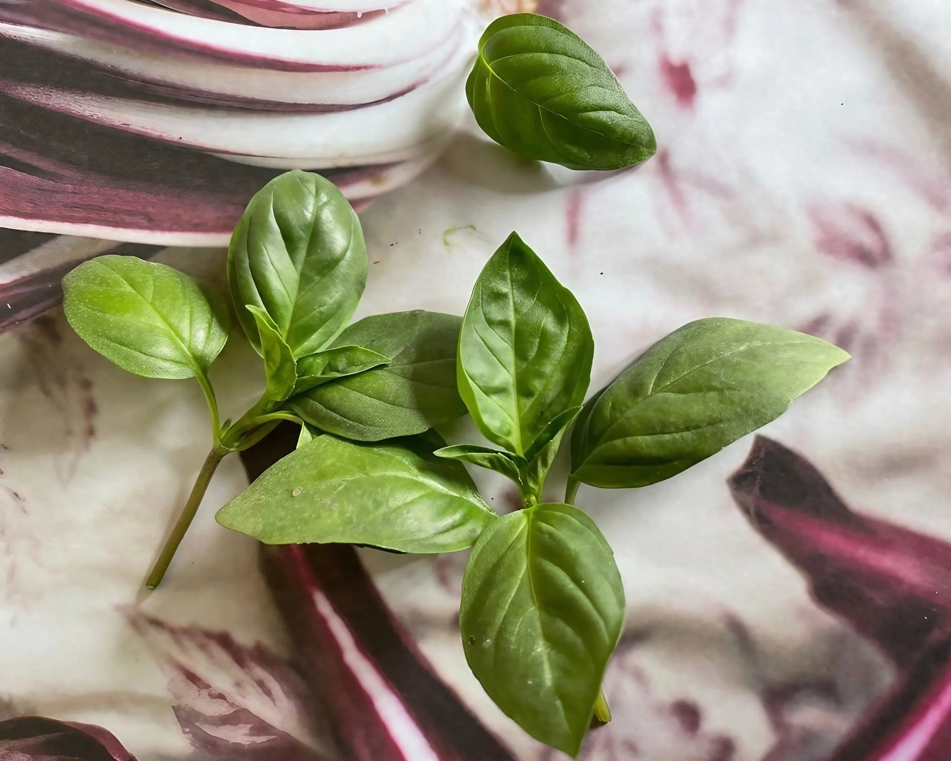 Basil Thai Siam Queen - REGN