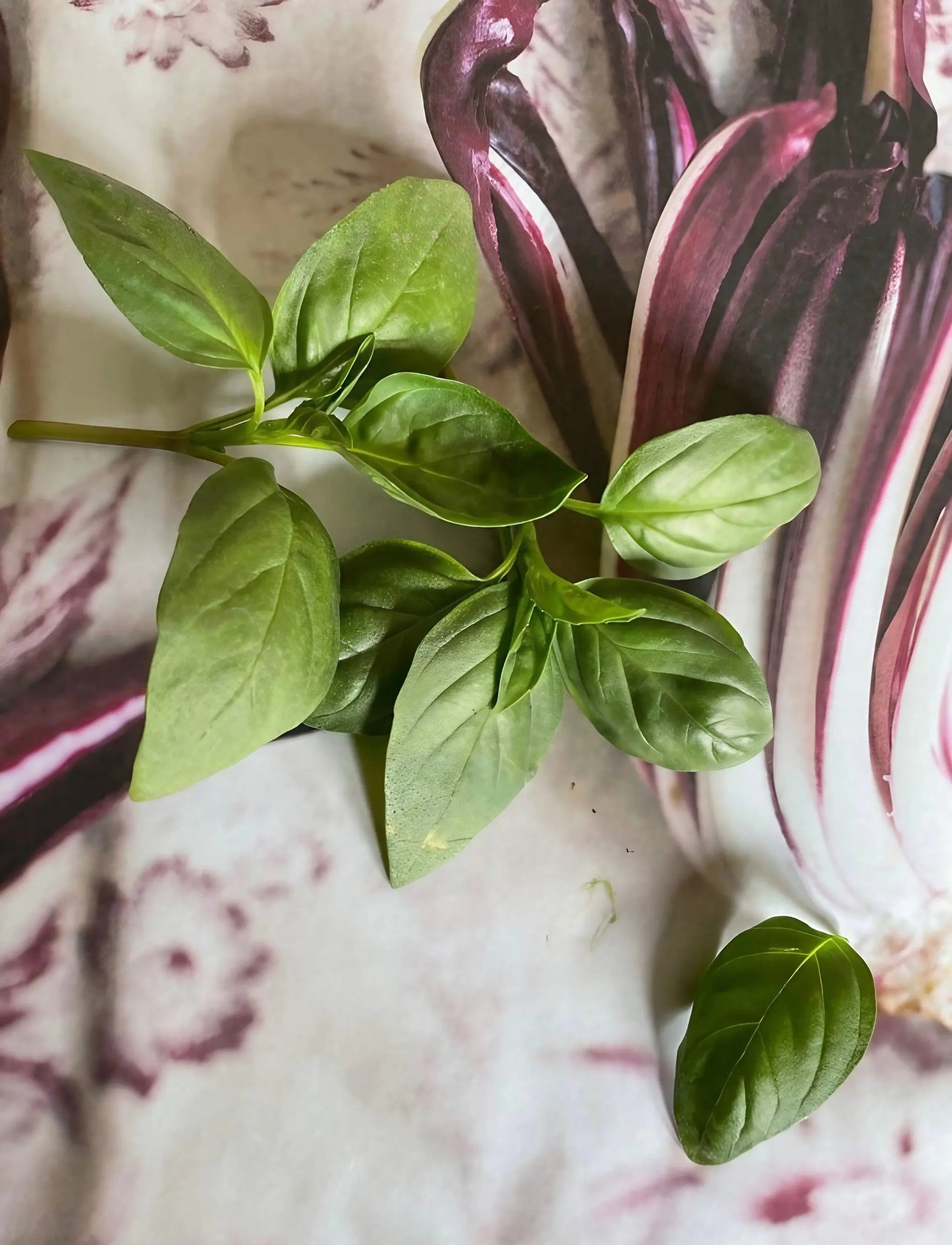 Basil Thai Siam Queen - REGN