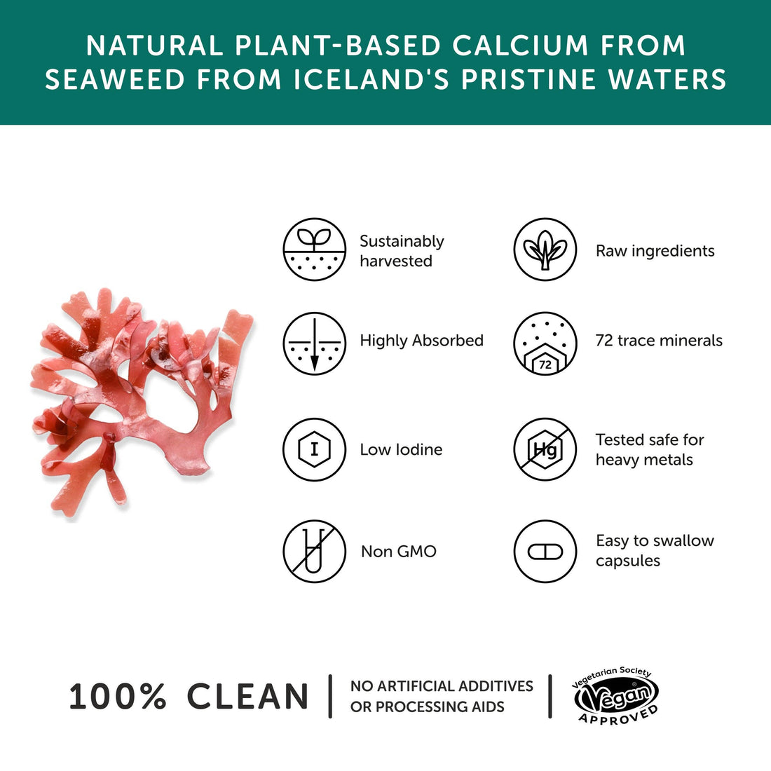 Calcium – Vegan Calcium Supplement – 60 Capsules