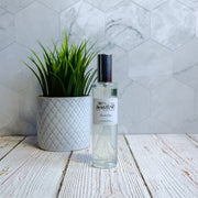 Beach Day - Room Spray 100ml - REGN