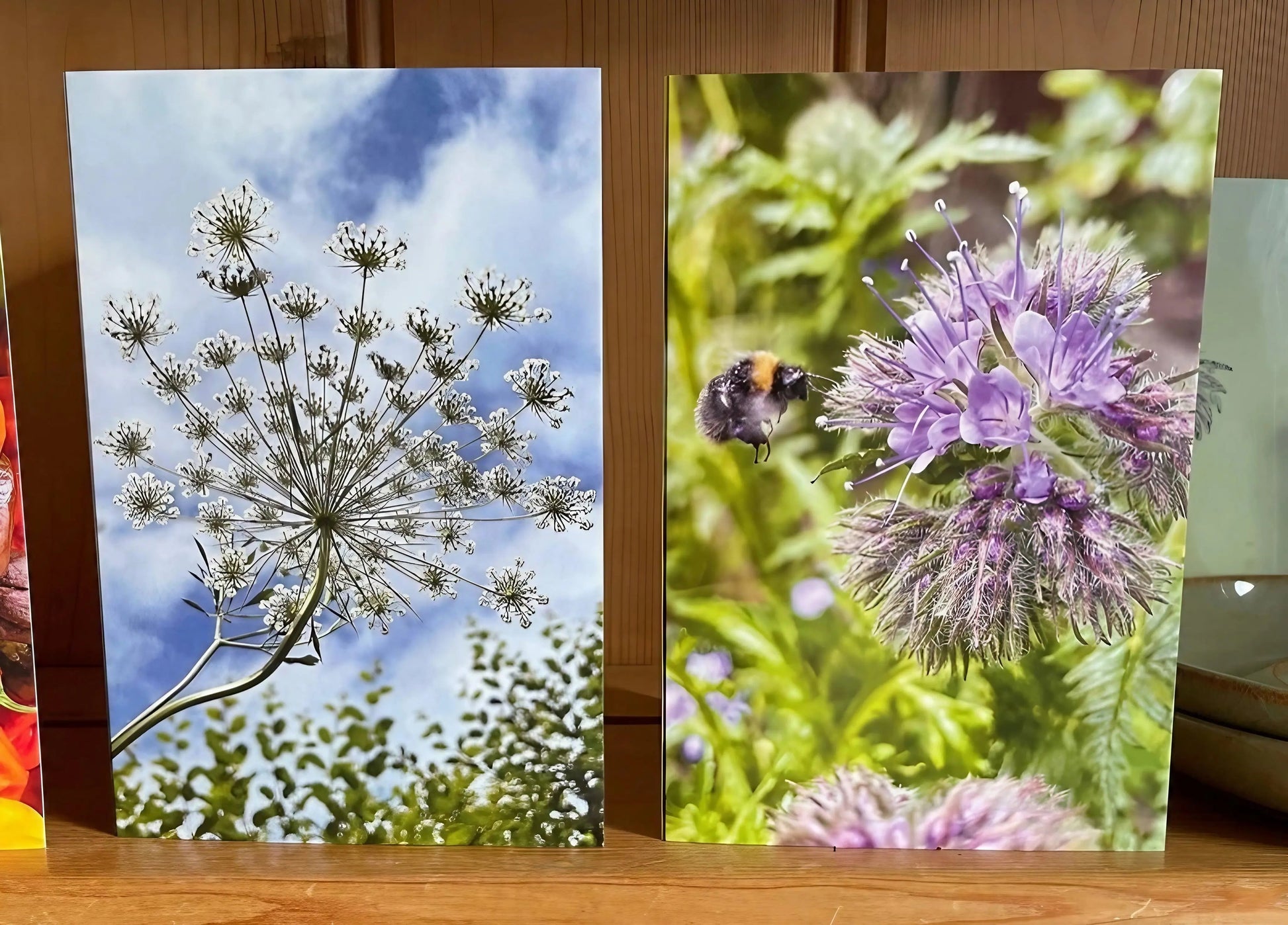 Bee with Phacelia Greeting Card - REGN
