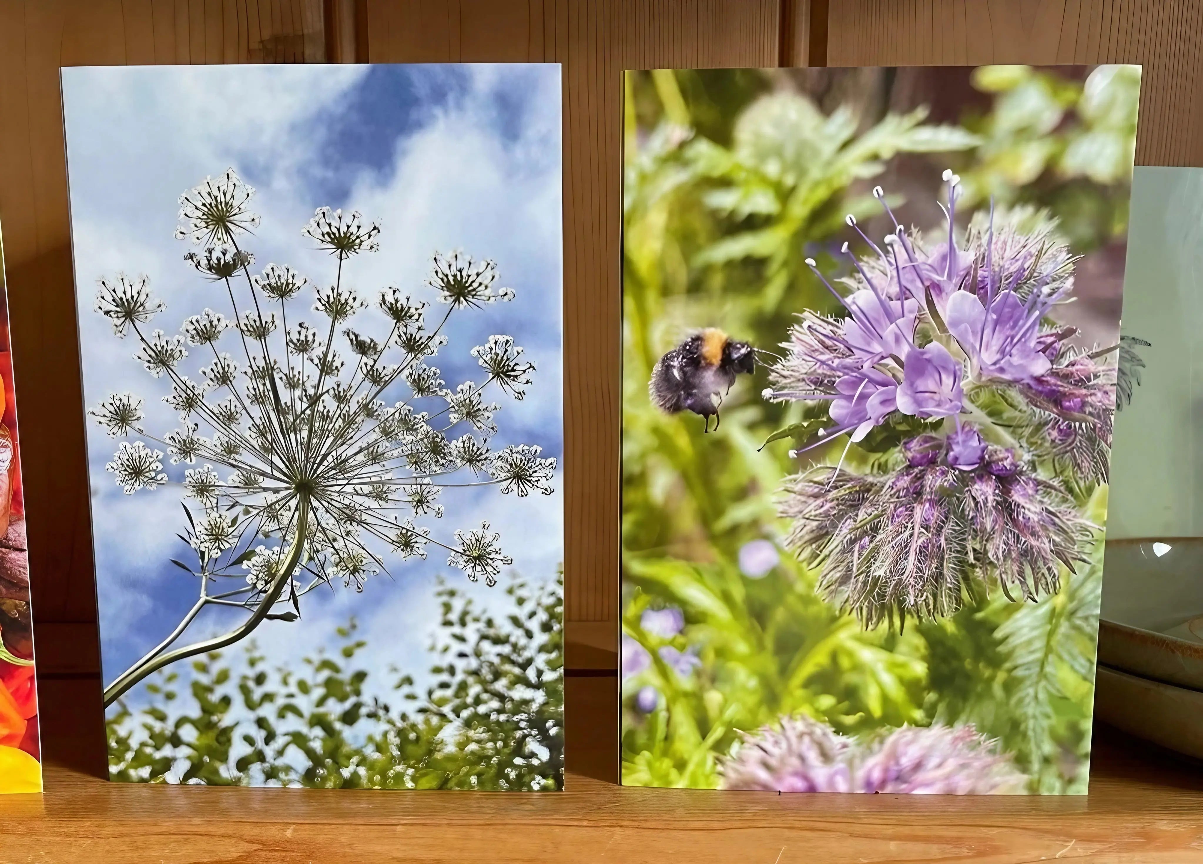 Bee with Phacelia Greeting Card - REGN