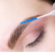 Beginners Brow Lamination Course Editable Training Manual - REGN