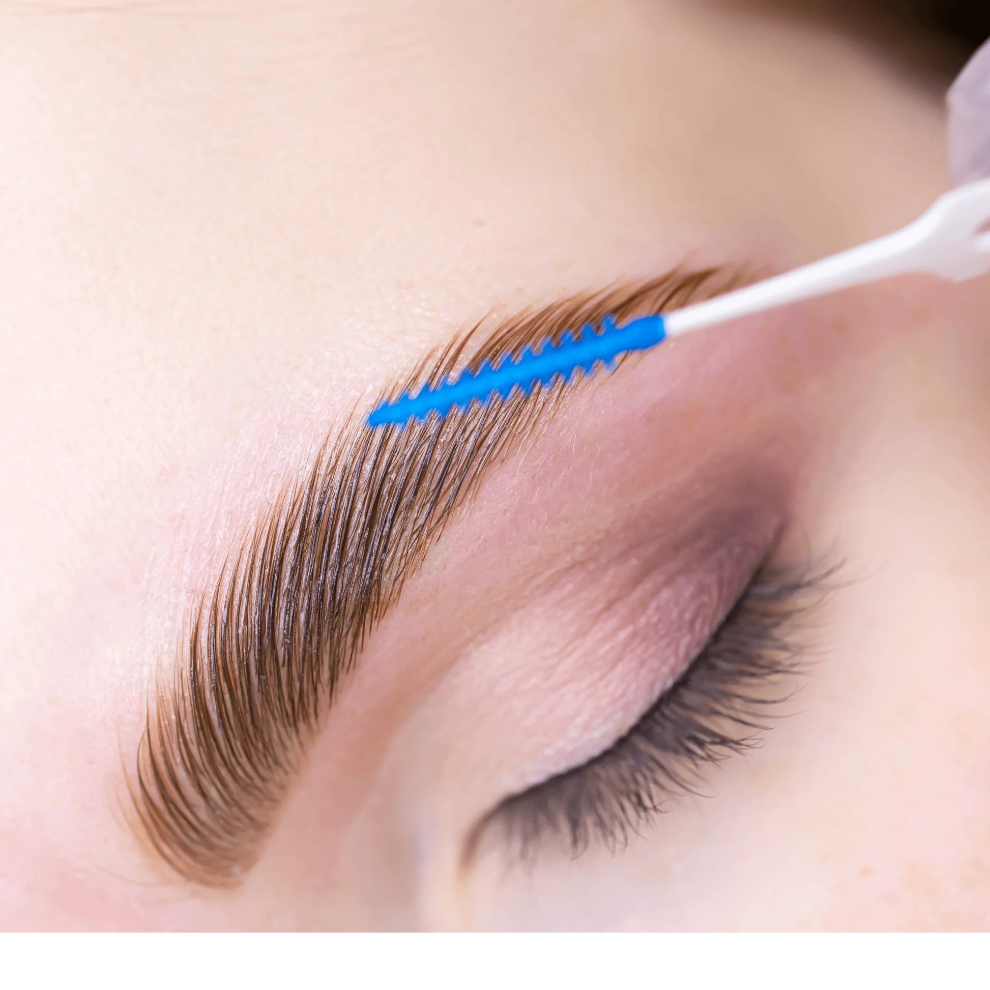 Beginners Brow Lamination Course Editable Training Manual - REGN