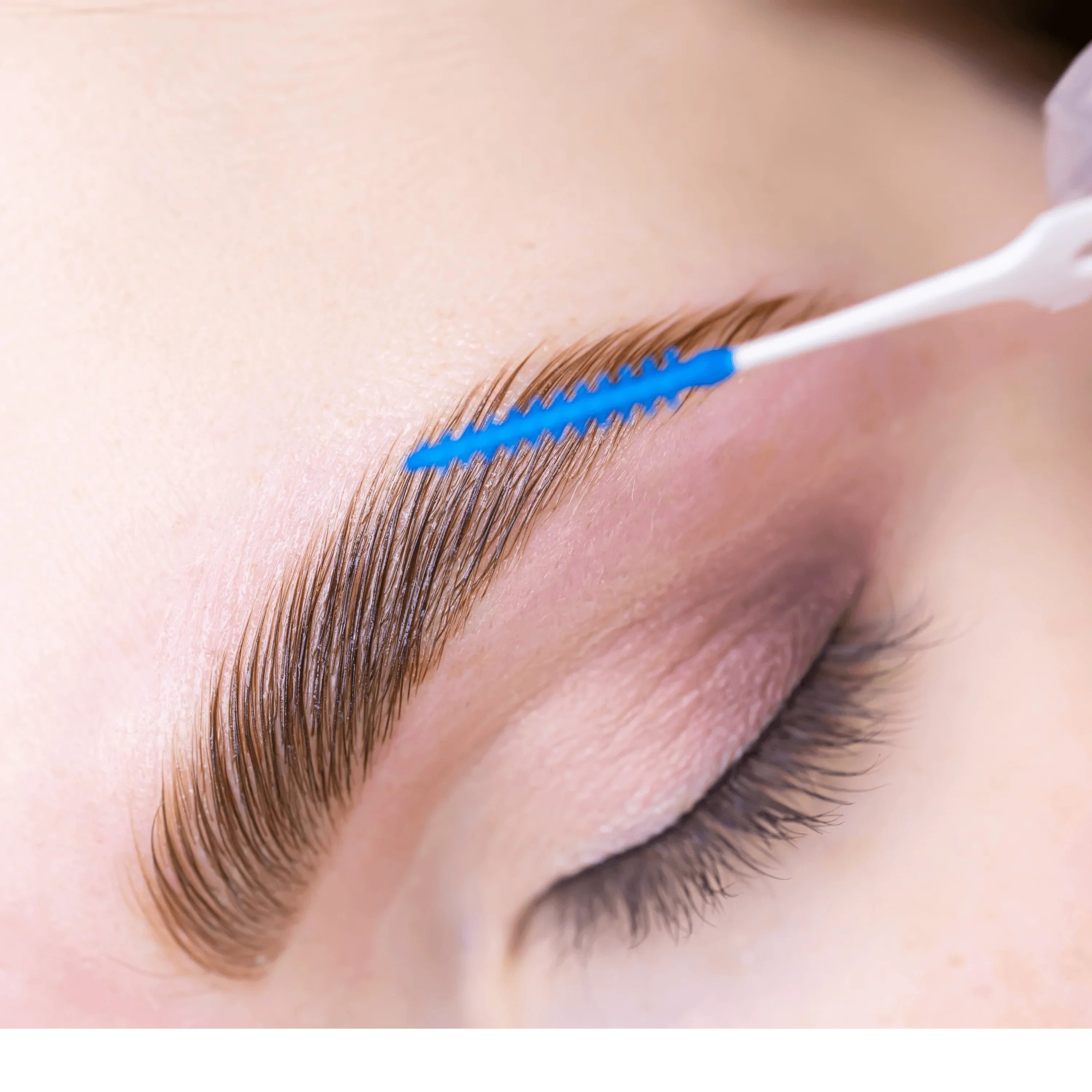 Beginners Brow Lamination Course Editable Training Manual - REGN