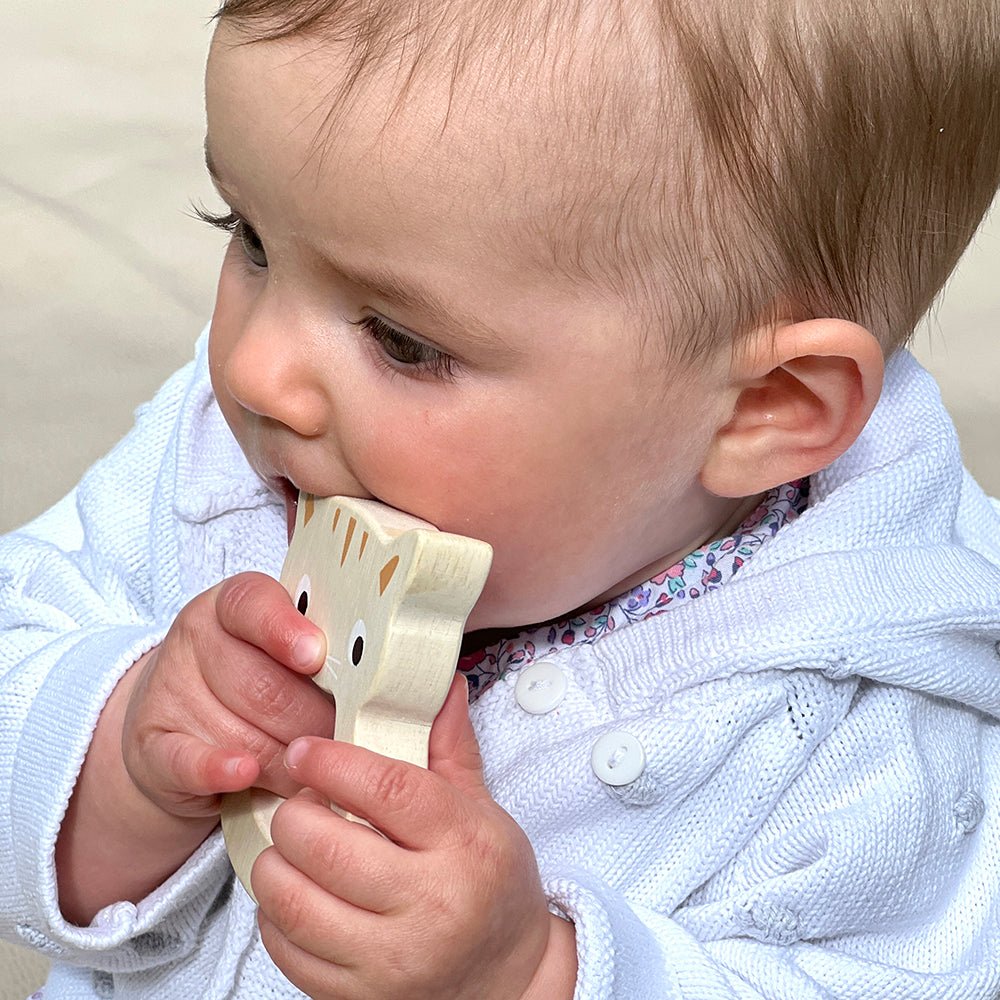 Bird & Kitten Teethers - REGN