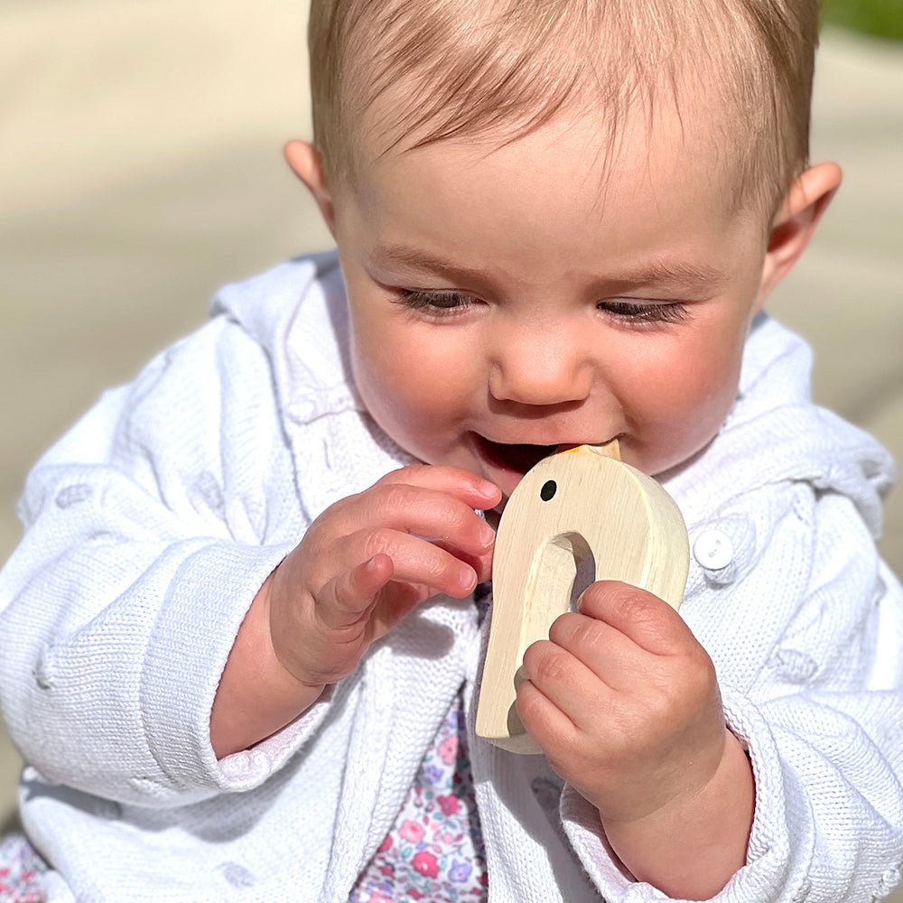Bird & Kitten Teethers - REGN