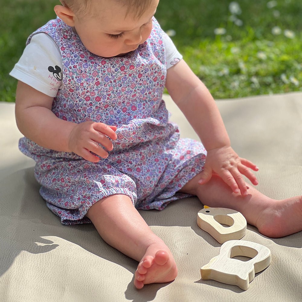 Bird & Kitten Teethers - REGN