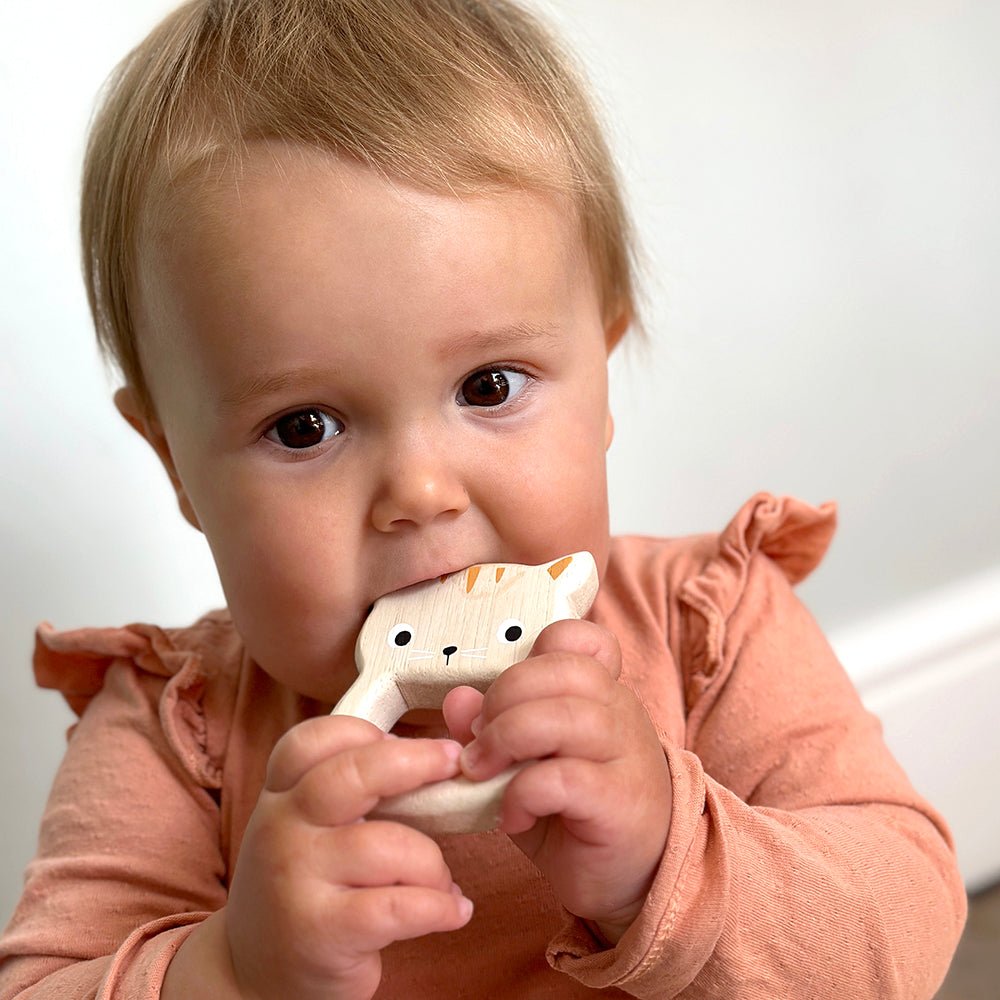 Bird & Kitten Teethers - REGN