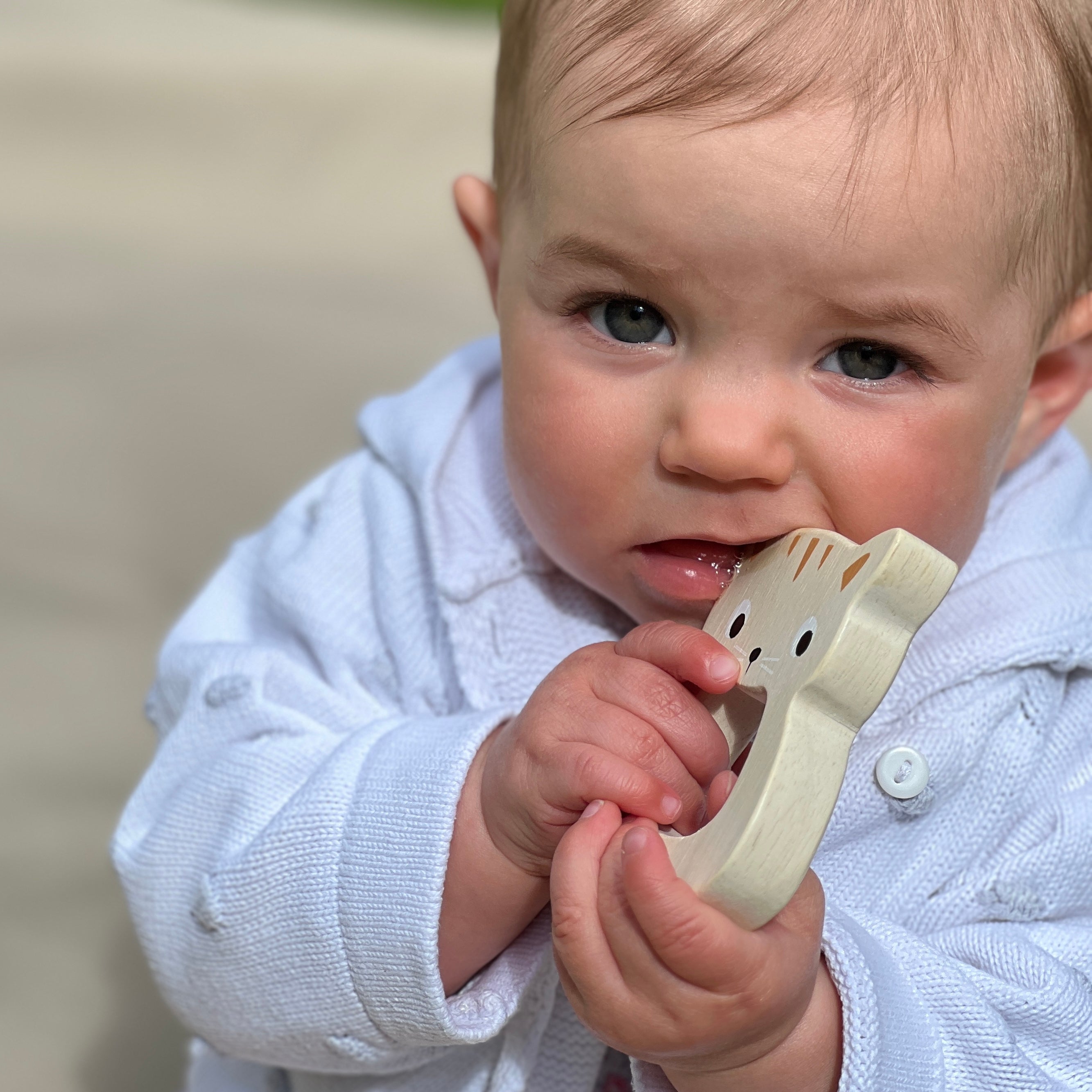 Bird & Kitten Teethers - REGN