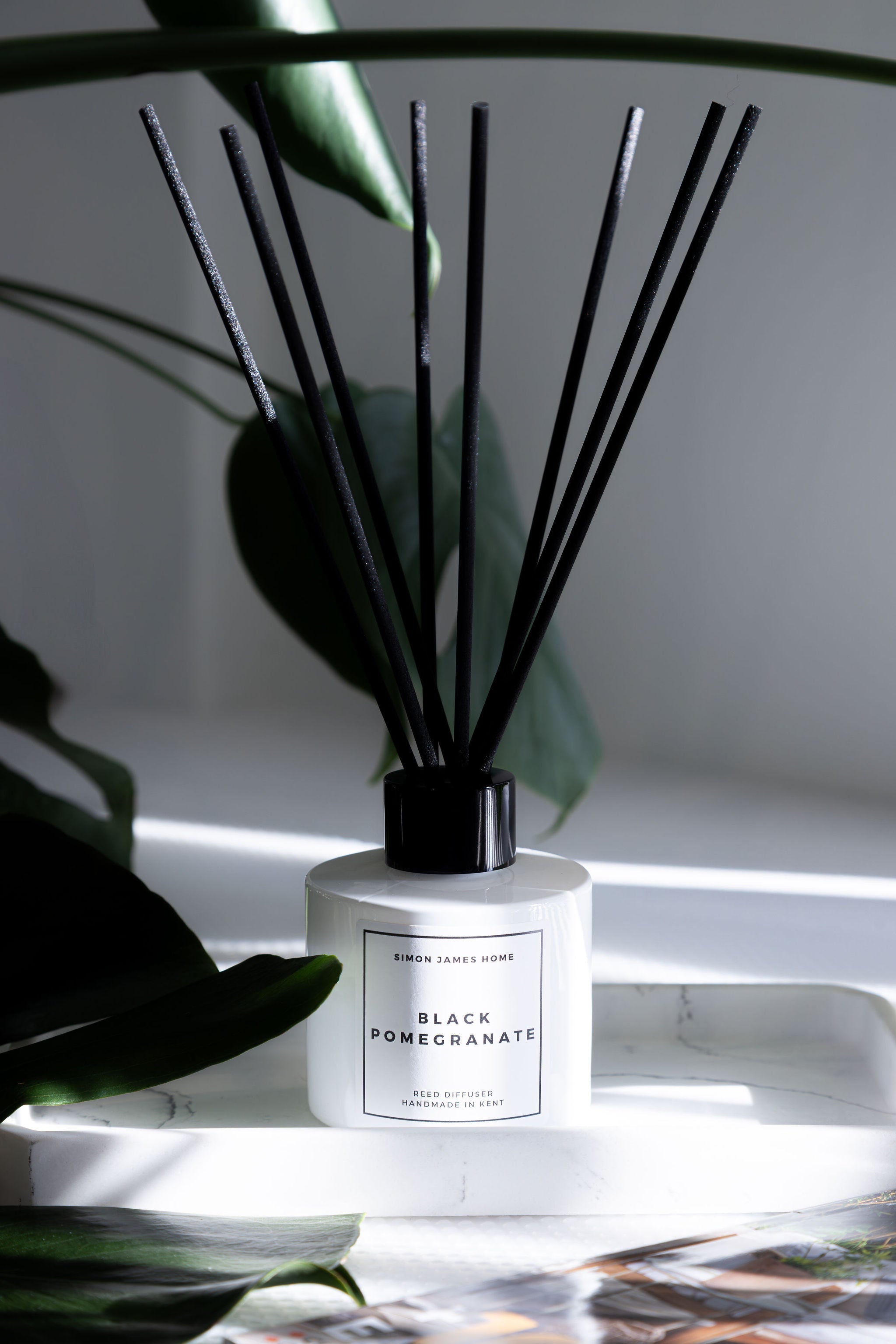 Black Pomegranate Reed Diffuser - REGN