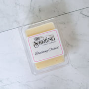 Blushing Orchid - Wax Melt Clamshell - REGN