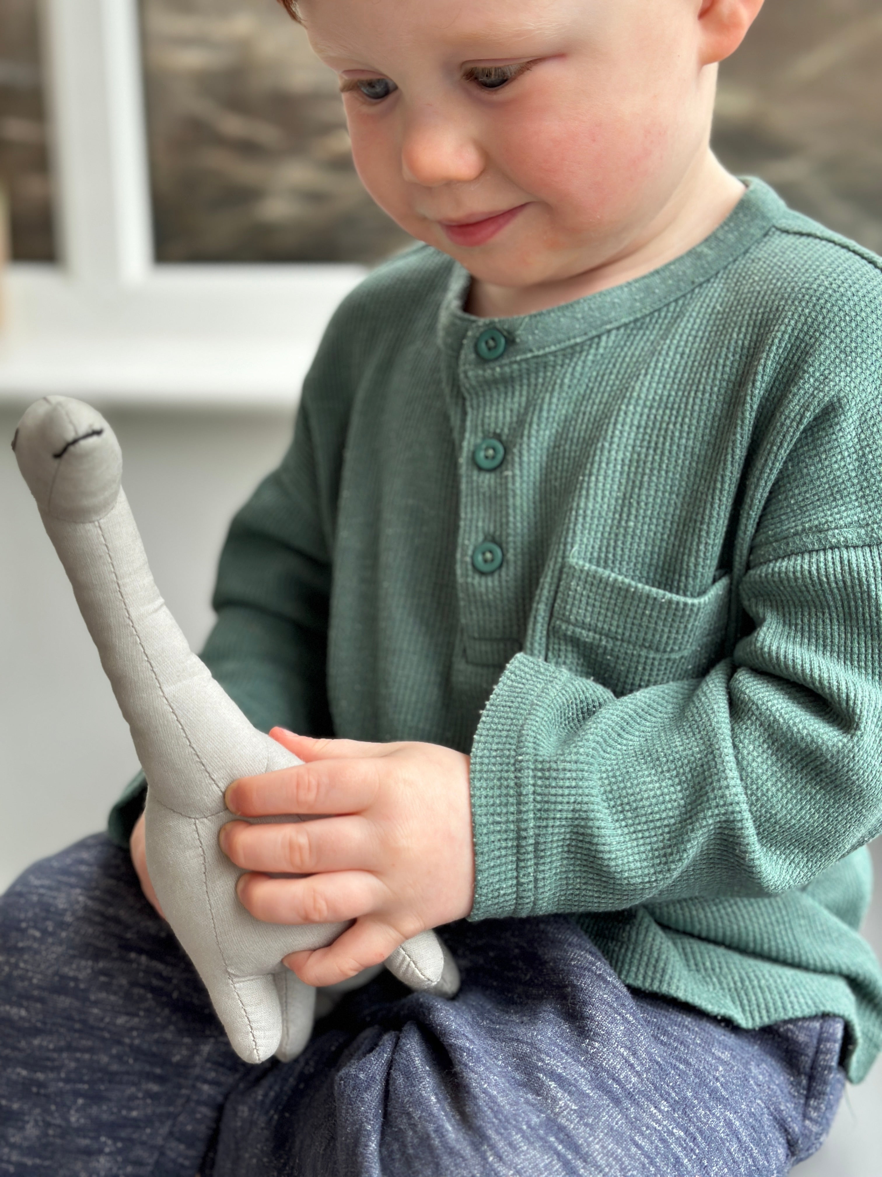 Bronty Linen Dinosaur Toy - REGN