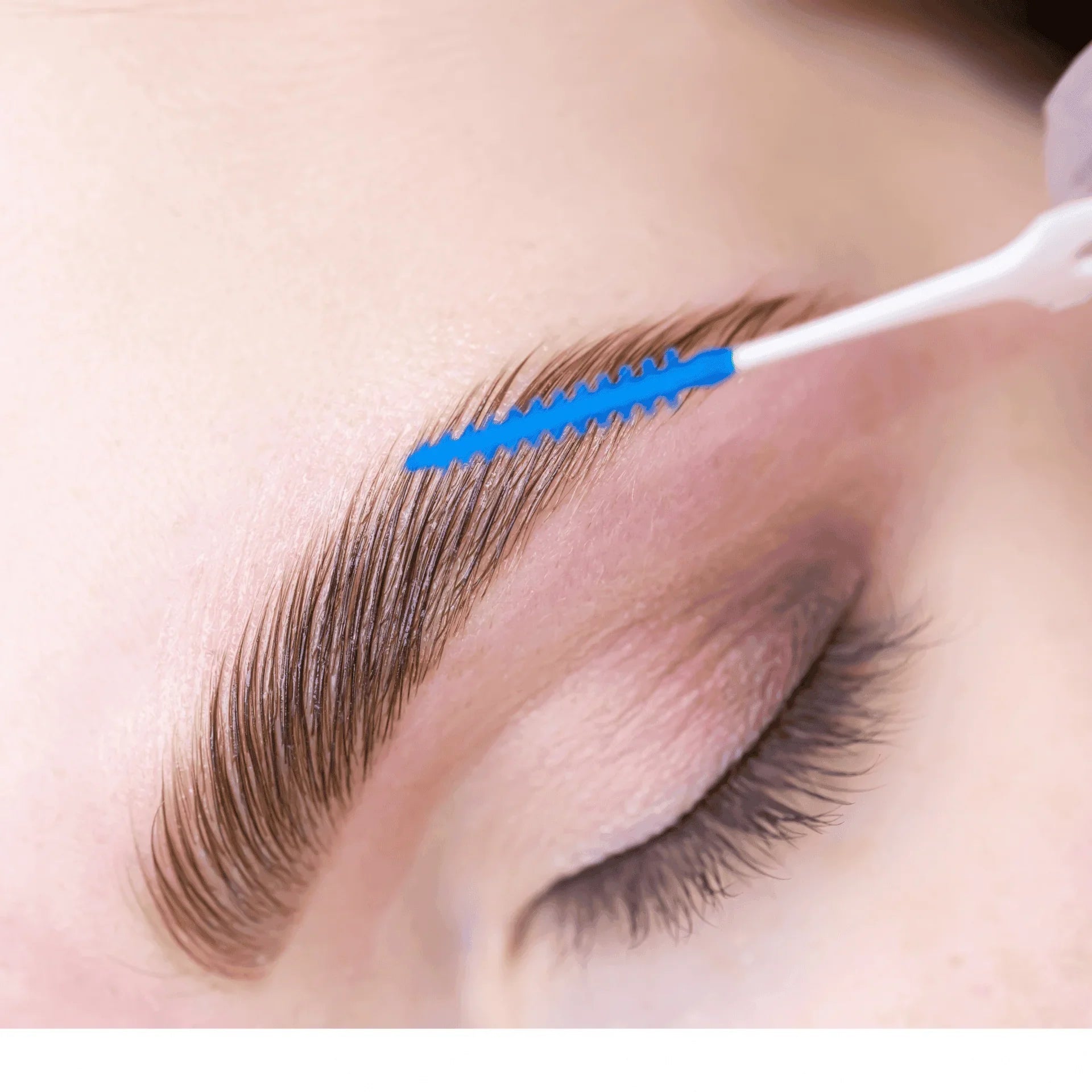 Brow Lamination, Waxing & Tinting Course Beginners 3 Course Bundle - REGN