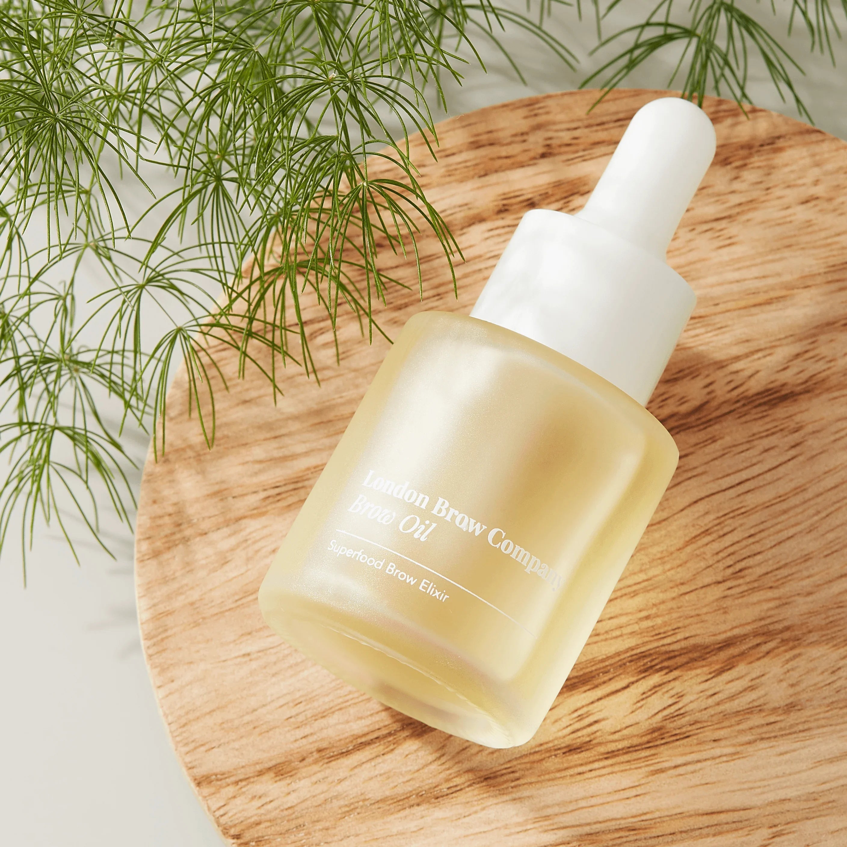Brow Oil Superfood Elixir (15ml) - REGN