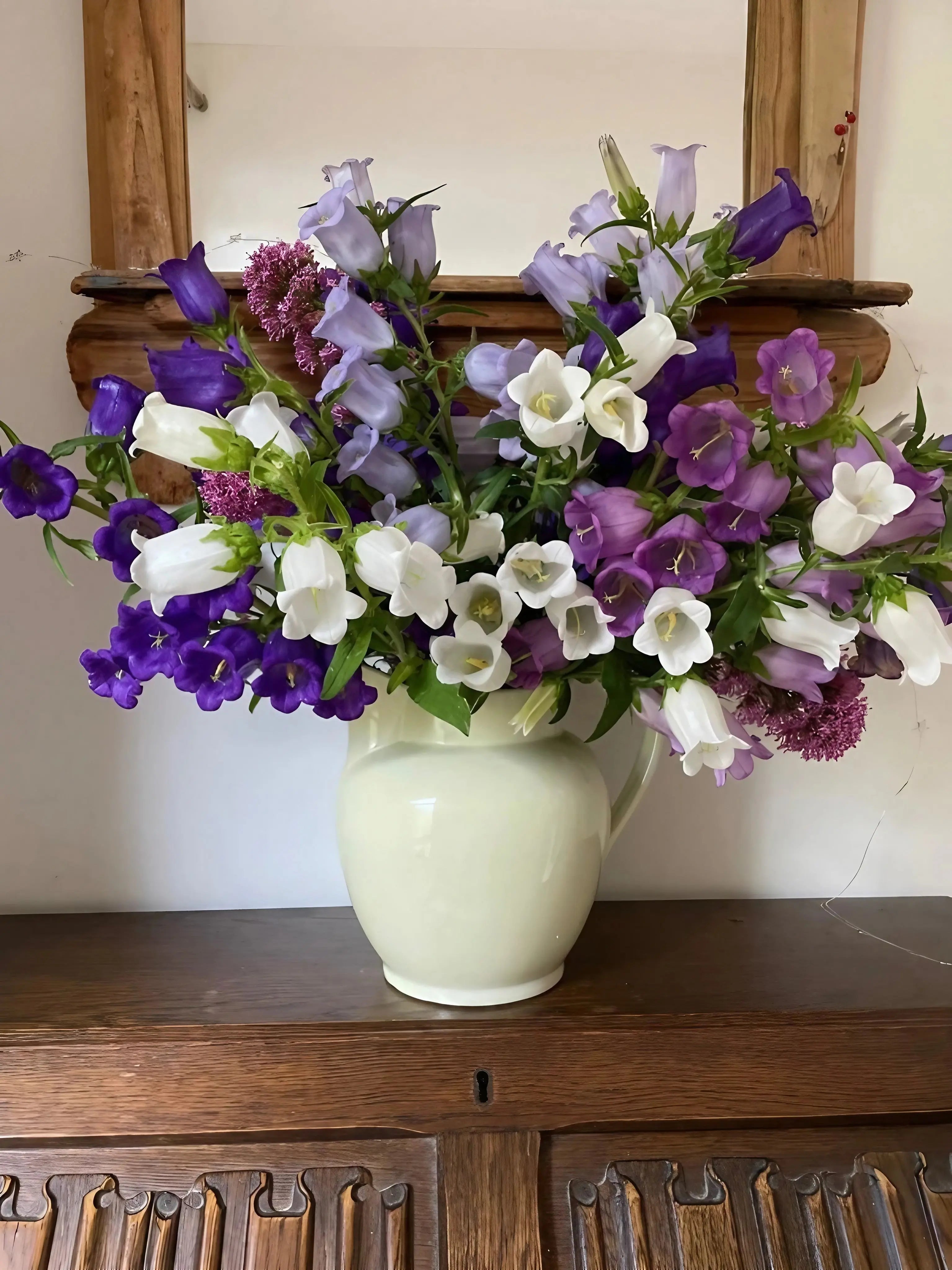 Canterbury Bells Crown Single Mixed - REGN