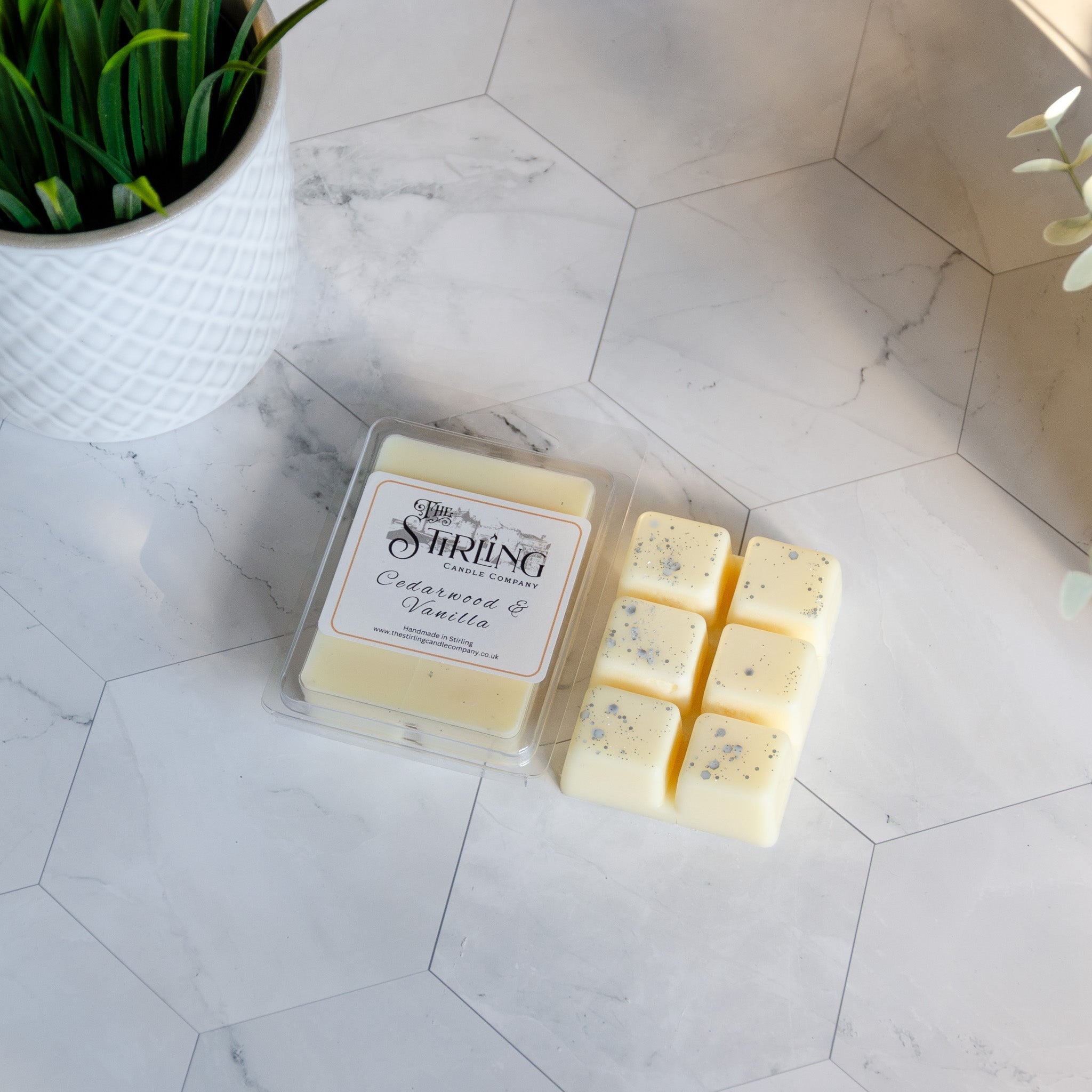 Cedarwood & Vanilla - Wax Melt Clamshell - REGN