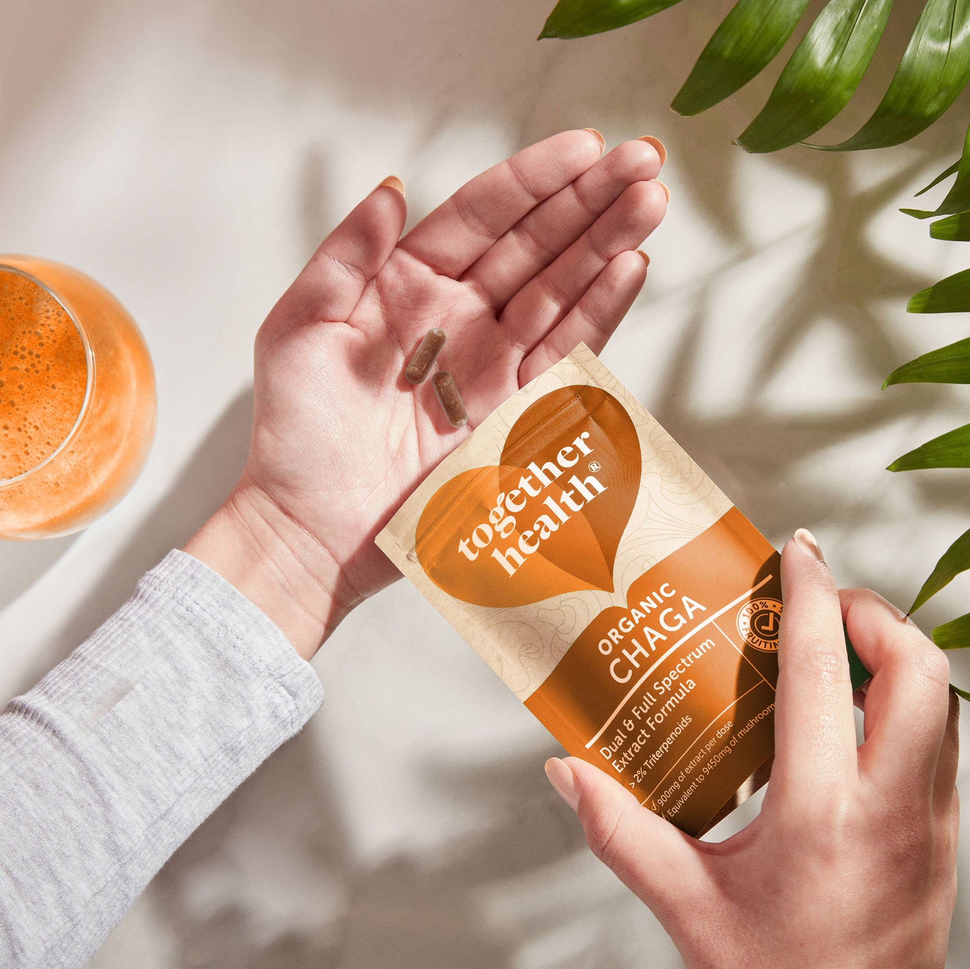 Chaga Mushroom 9450mg - High Strength – 60 Capsules - REGN