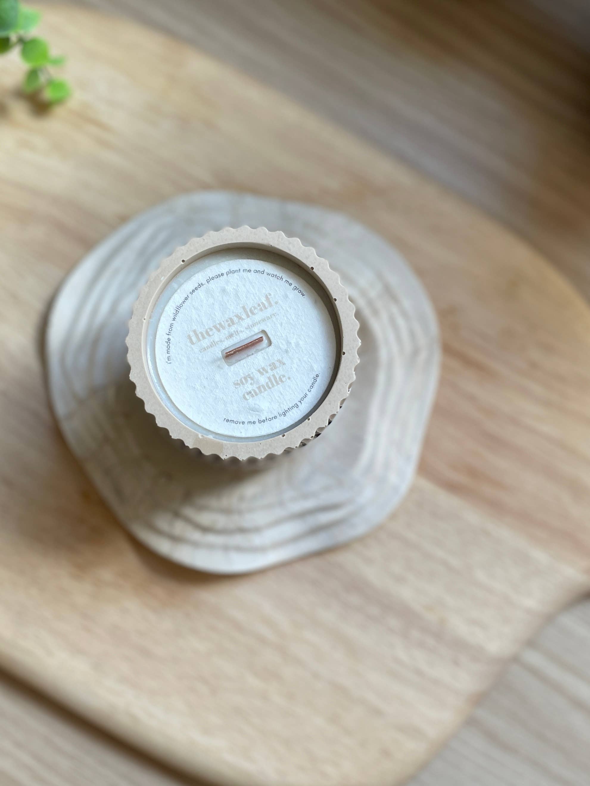 Chamomile Jesmonite Soy Wax Candle / Beige Home Decor - REGN