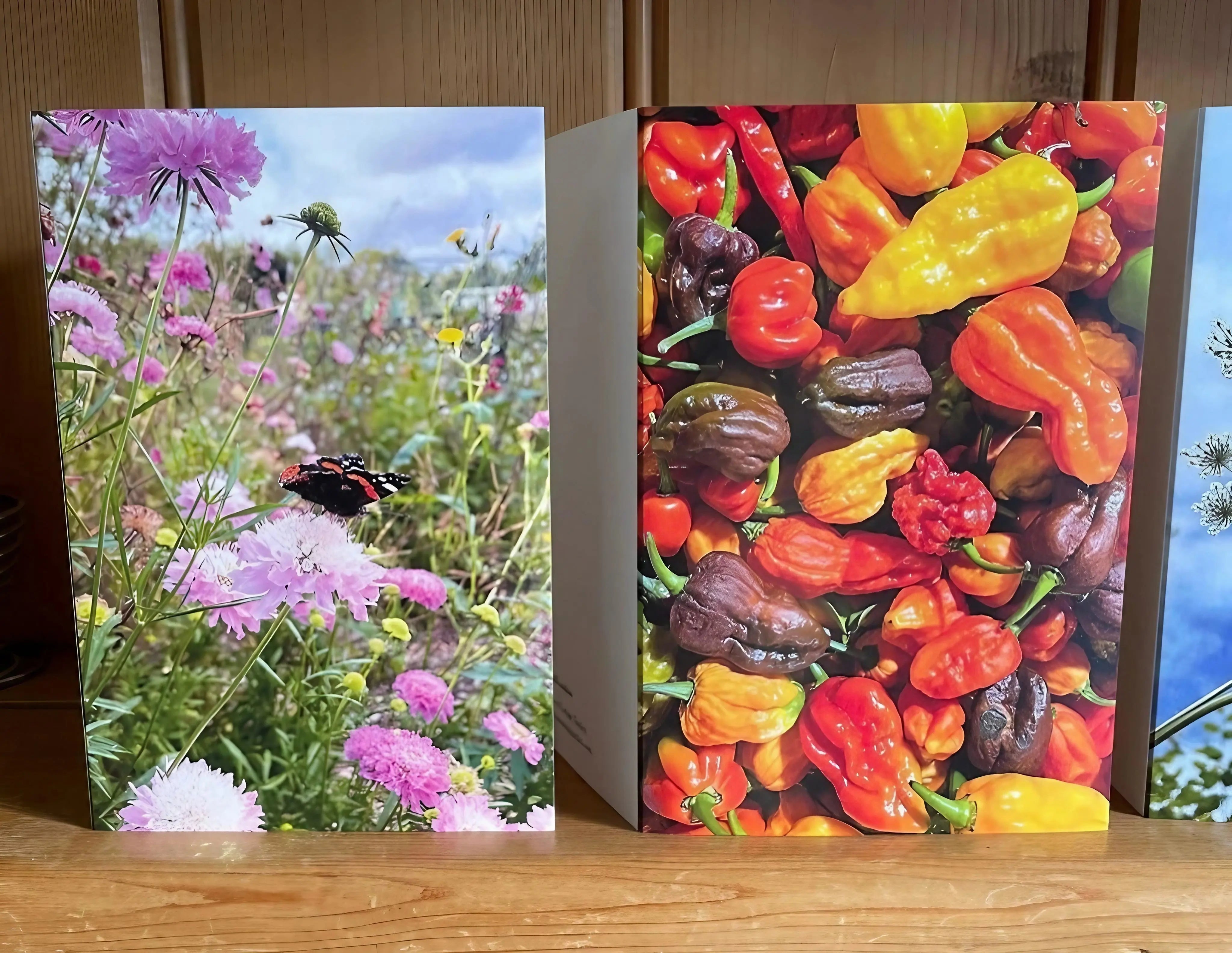 Chilli Rainbow Greeting Card - REGN