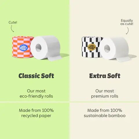Classic Soft Toilet Tissue 12 Mega Rolls (case of 4) - REGN