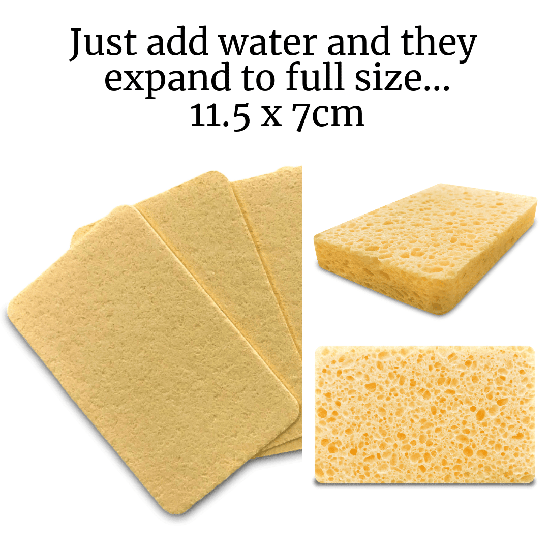 Cleaning Cloths & Sponges - REGN