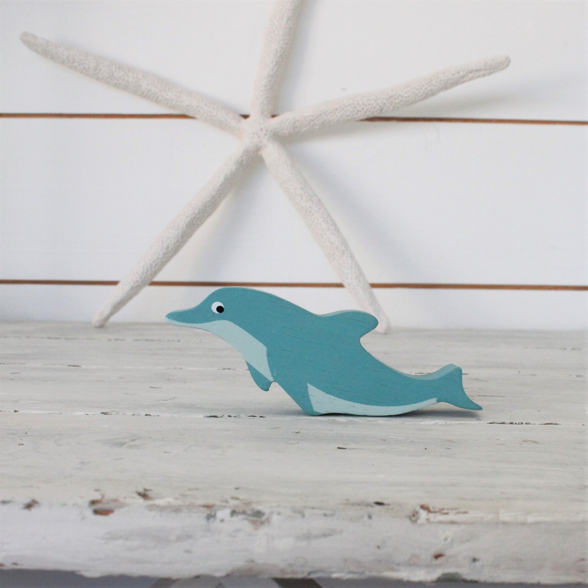 Coastal Animals - Dolphin - REGN
