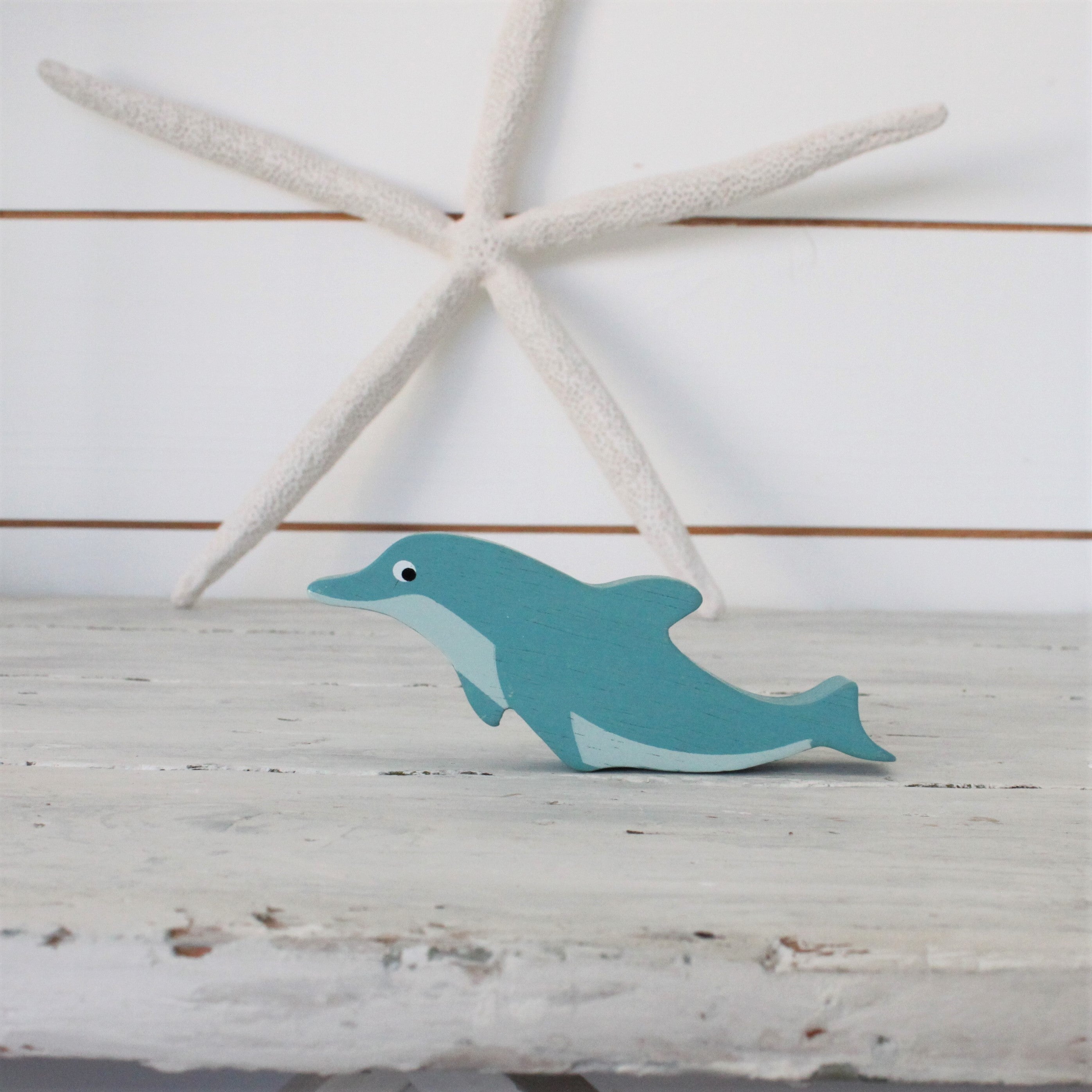 Coastal Animals - Dolphin - REGN