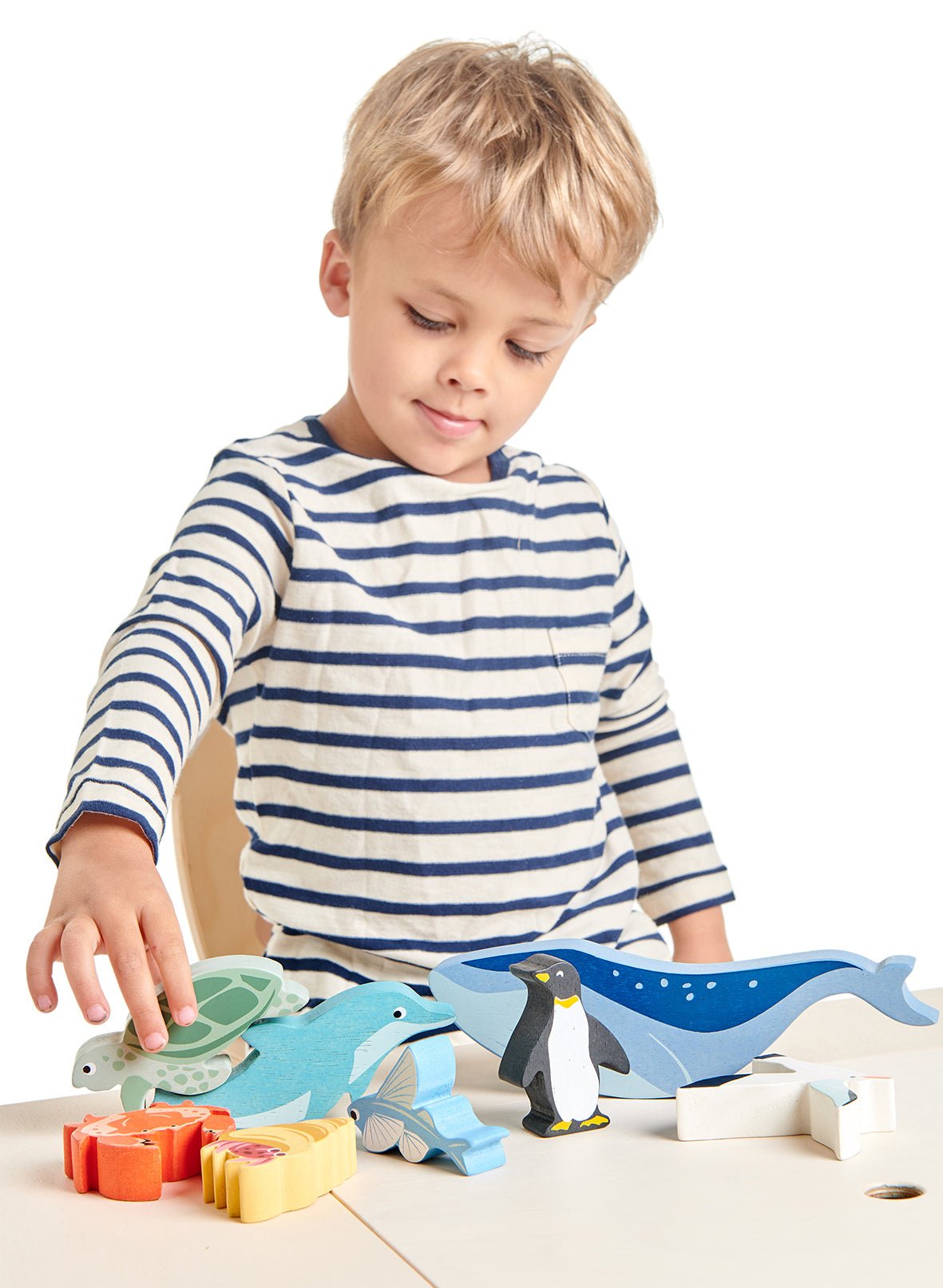 Coastal Animals - Dolphin - REGN
