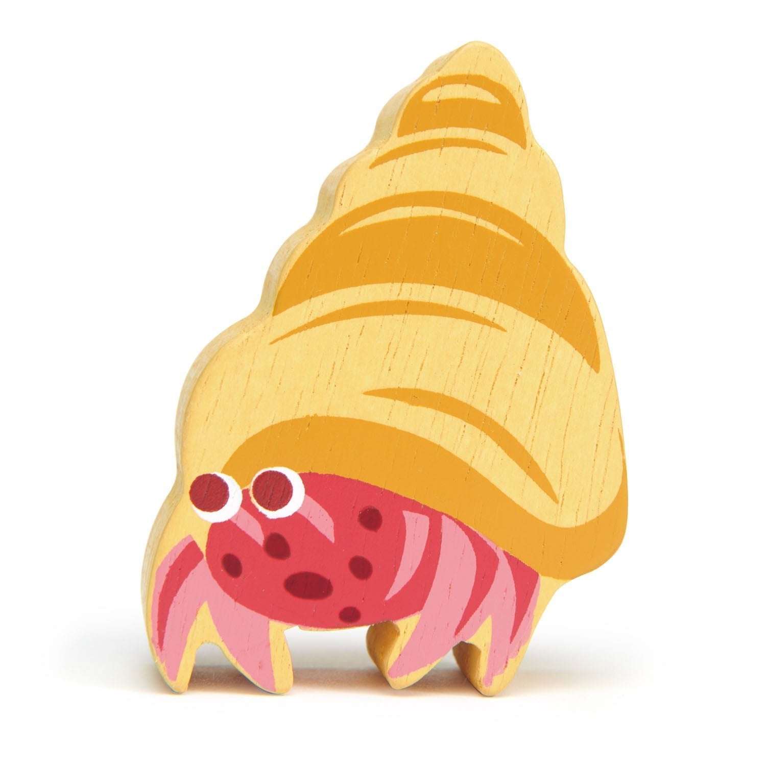 Coastal Animals - Hermit Crab - REGN