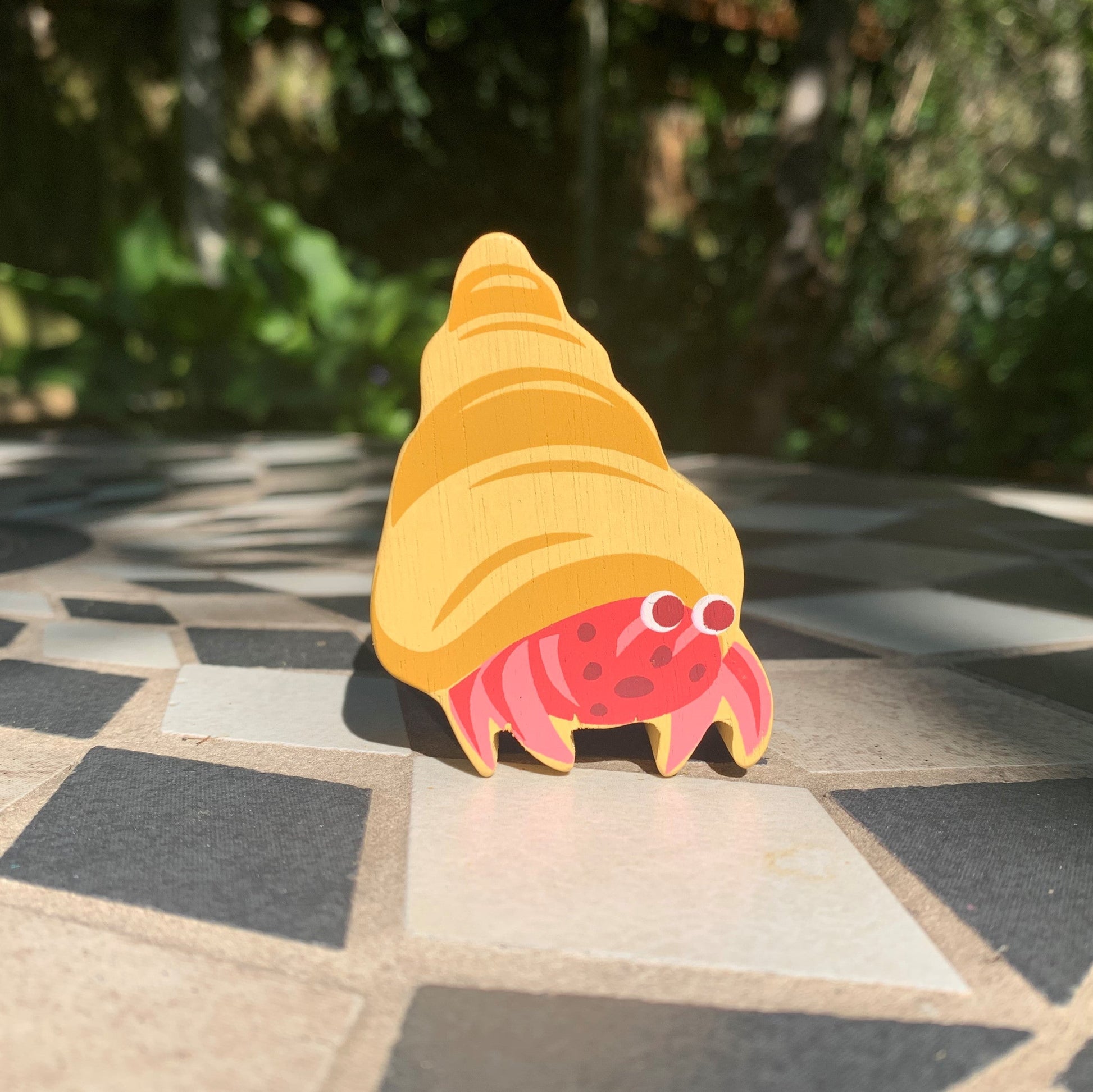 Coastal Animals - Hermit Crab - REGN