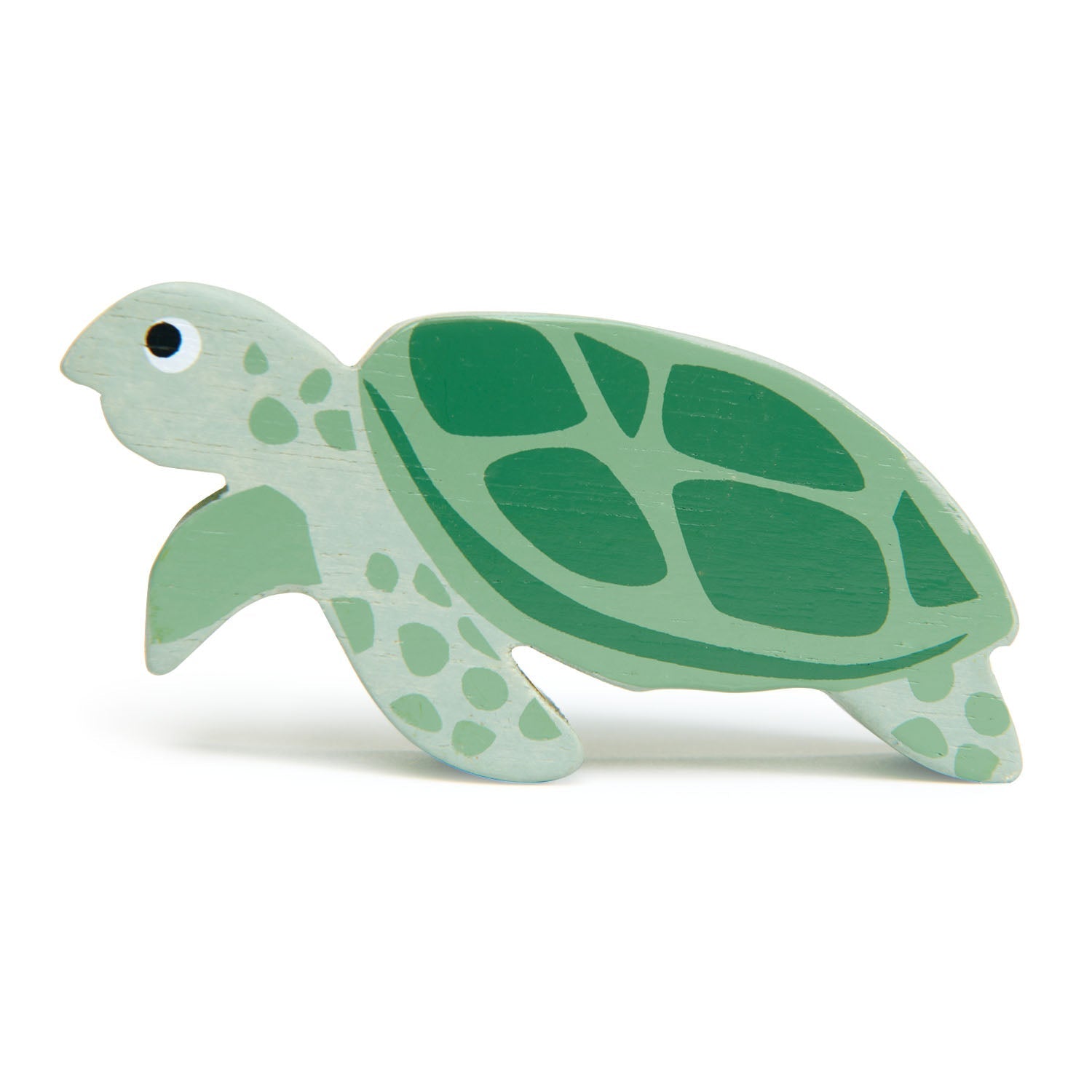 Coastal Animals - Sea Turtle - REGN