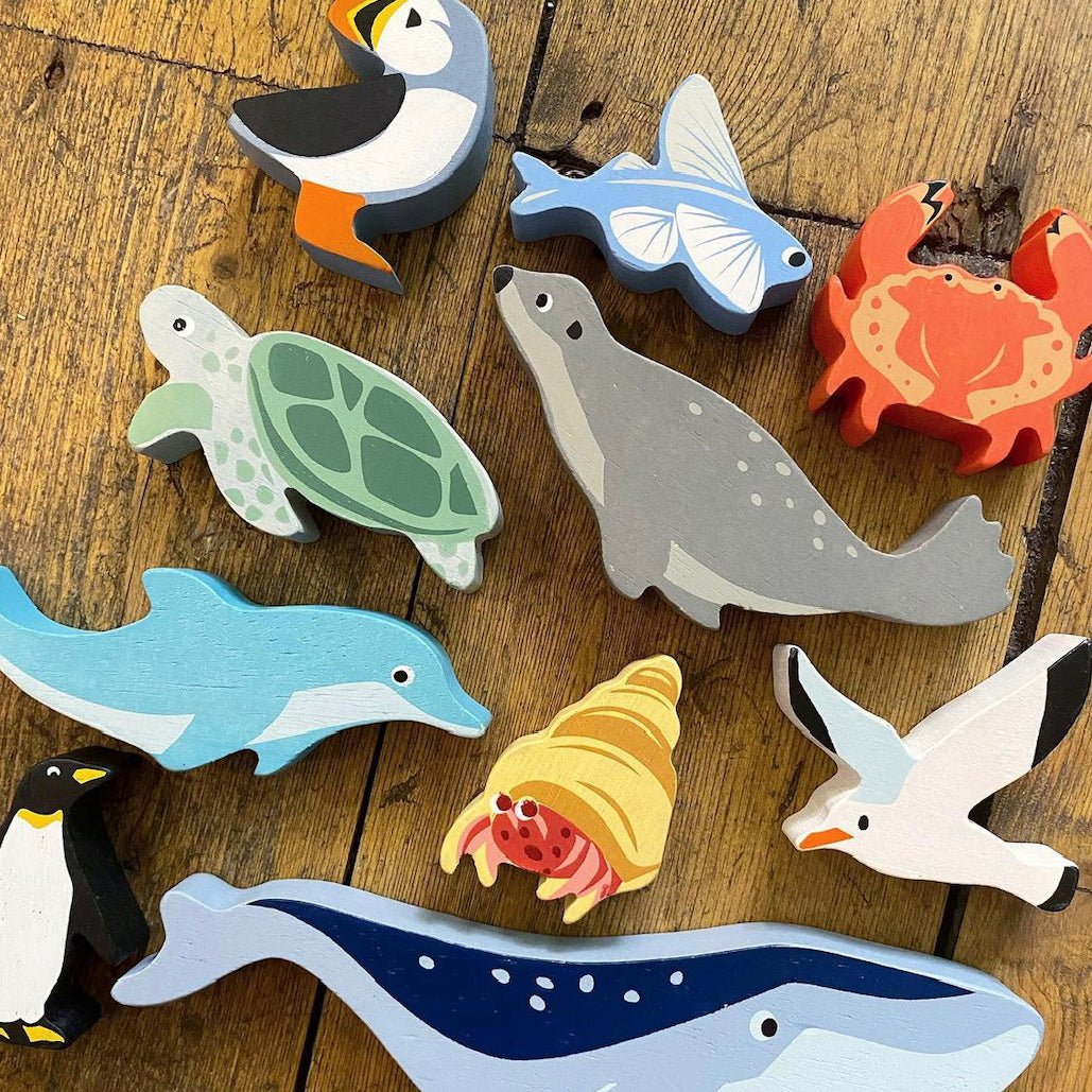 Coastal Animals - Seagull - REGN