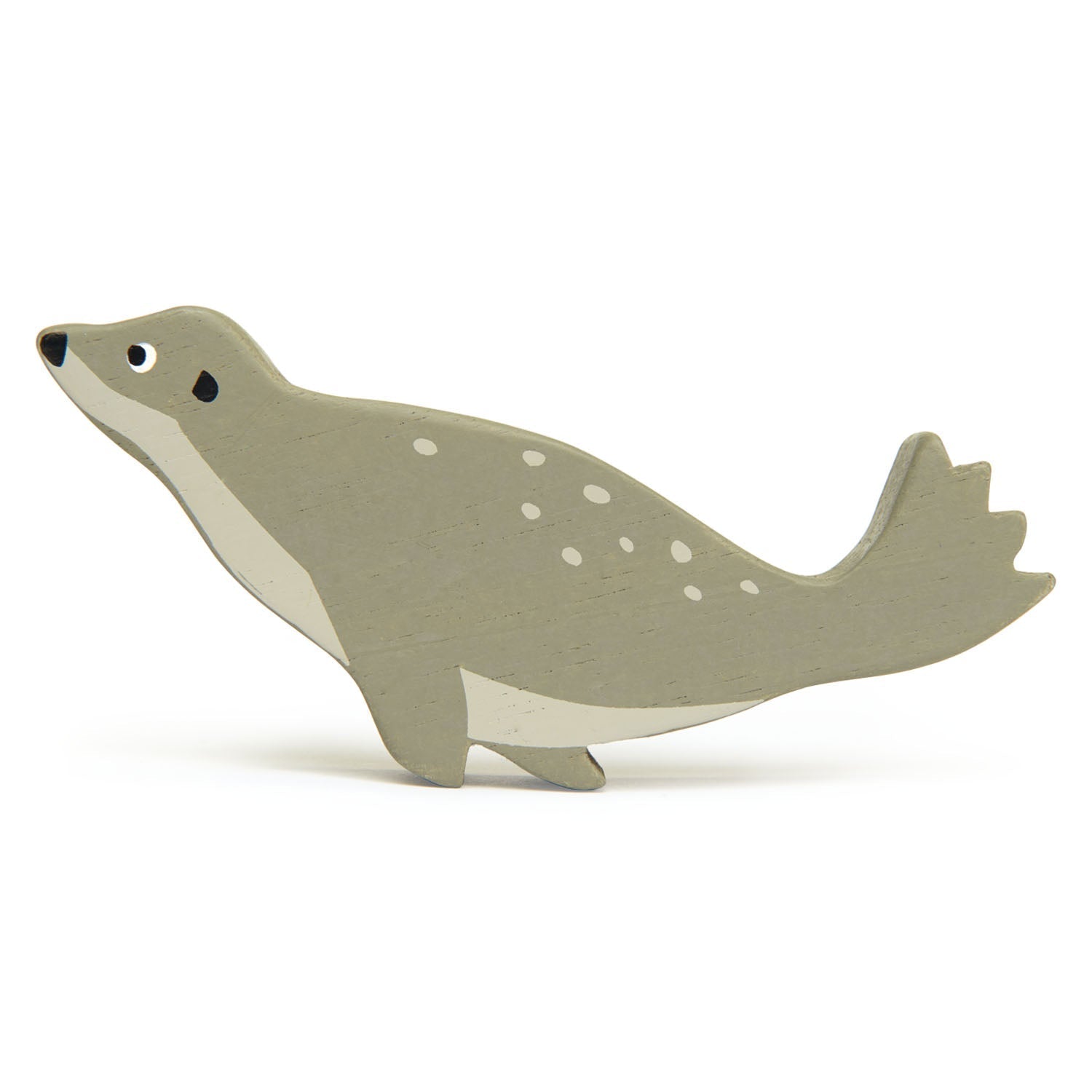 Coastal Animals - Seal - REGN