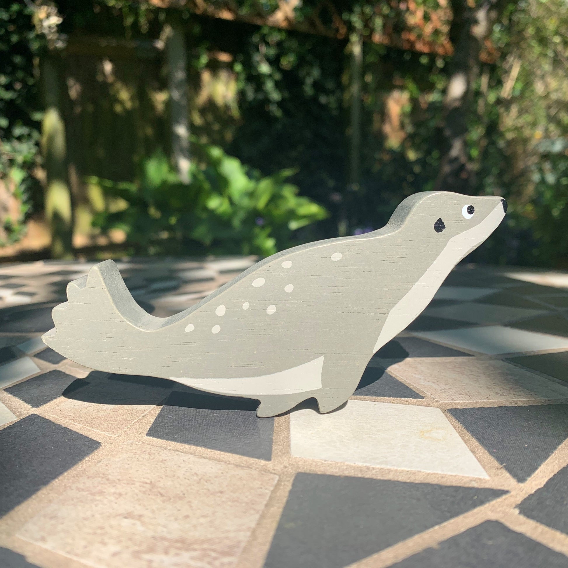 Coastal Animals - Seal - REGN