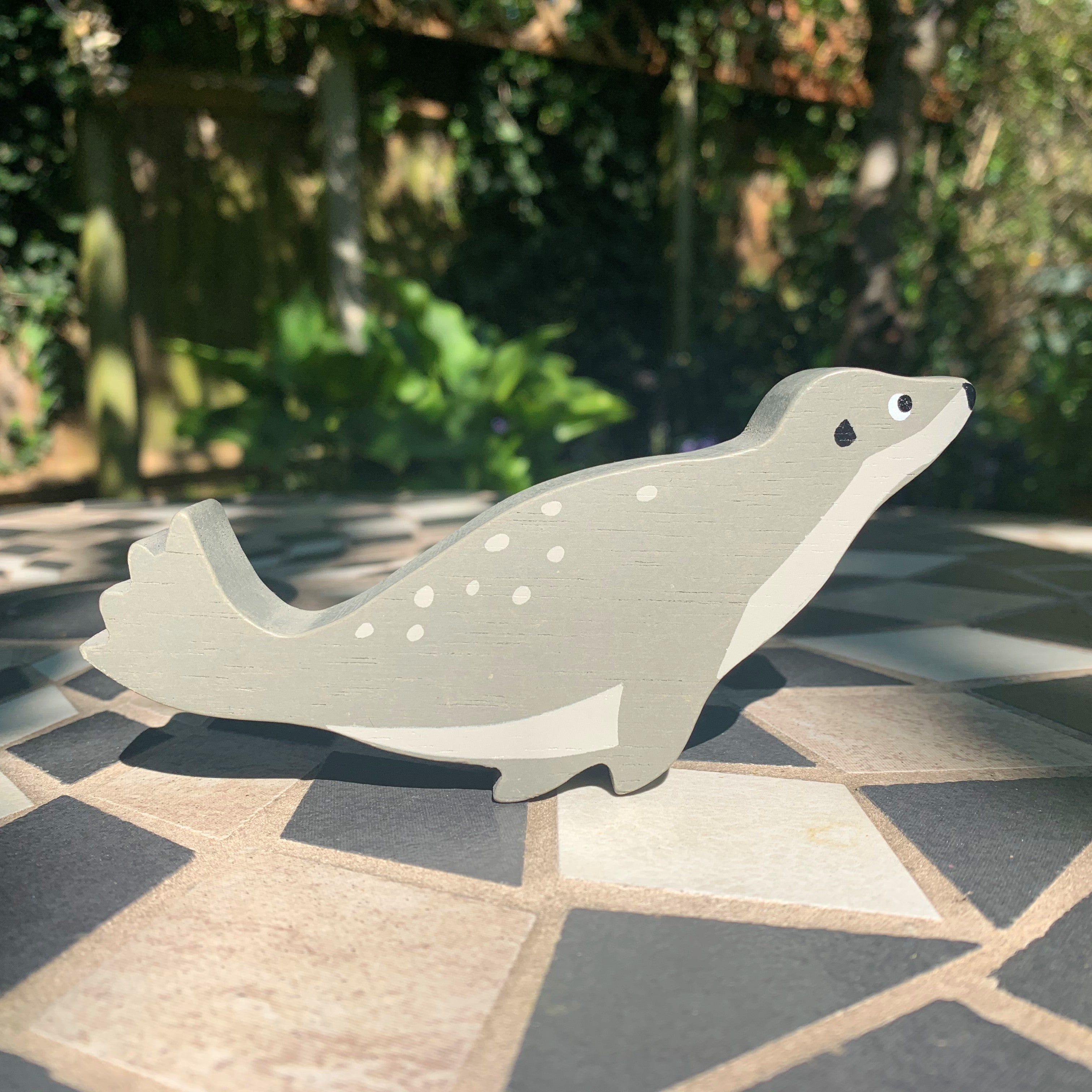 Coastal Animals - Seal - REGN