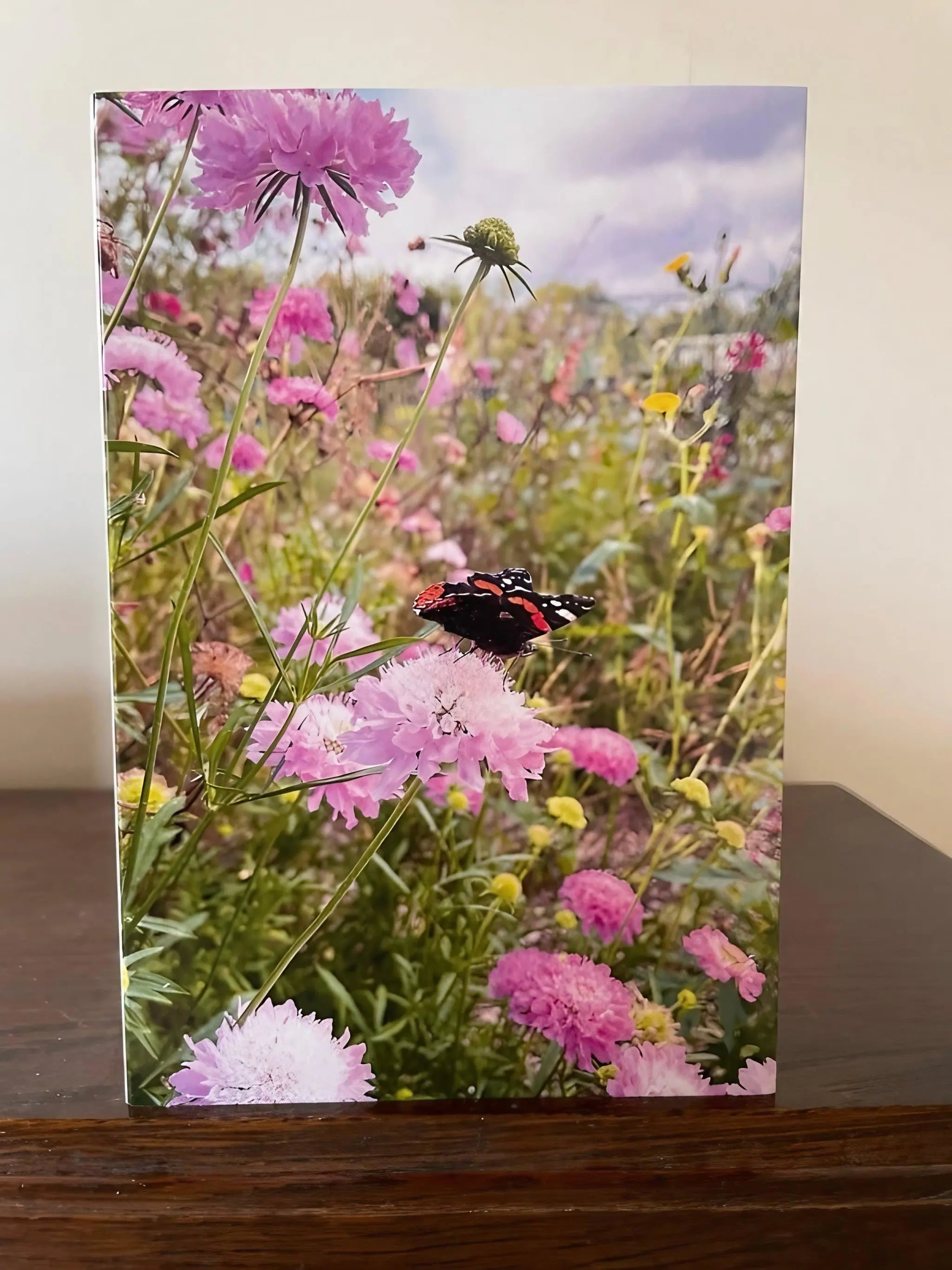 Collection of Four Greeting Cards - REGN