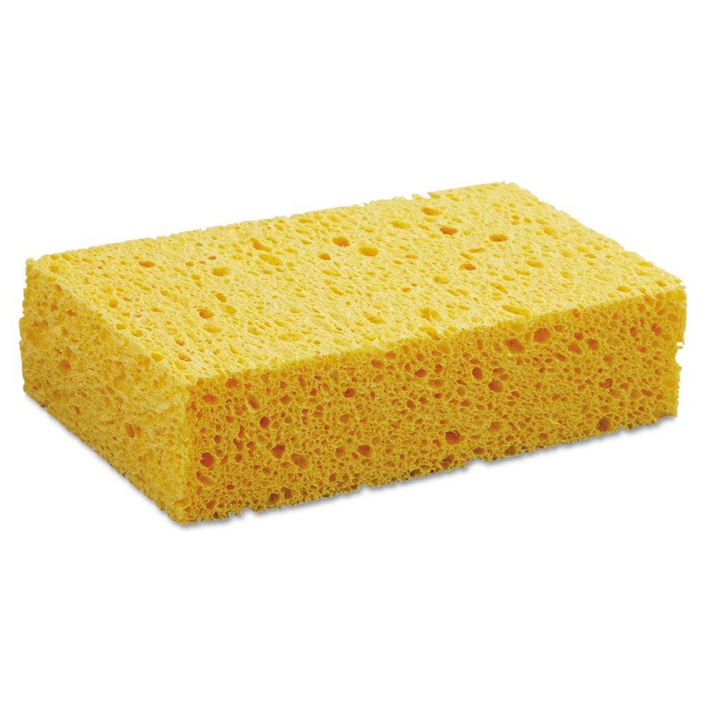 Compostable Cellulose Sponges – Plastic - Free, Biodegradable & Reusable - REGN