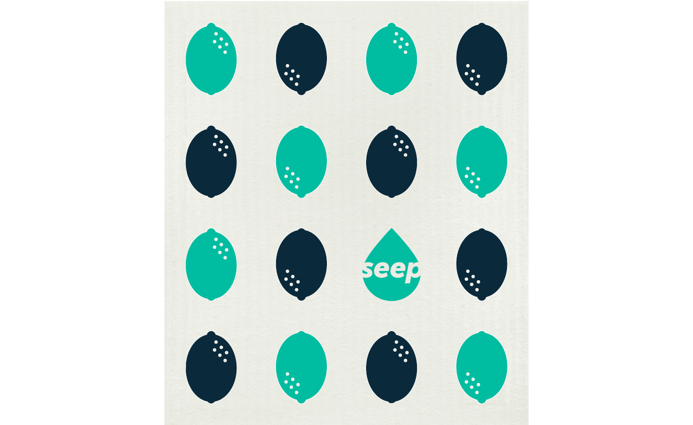 Compostable Sponge Cloths 2 - Pack | Plastic - Free Cleaning Cloths - REGN