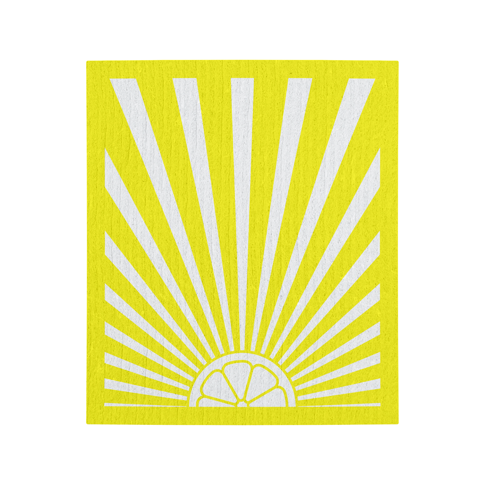 Compostable Sponge Cloths 4 - Pack | Colourful Eco Cleaning Cloths - REGN