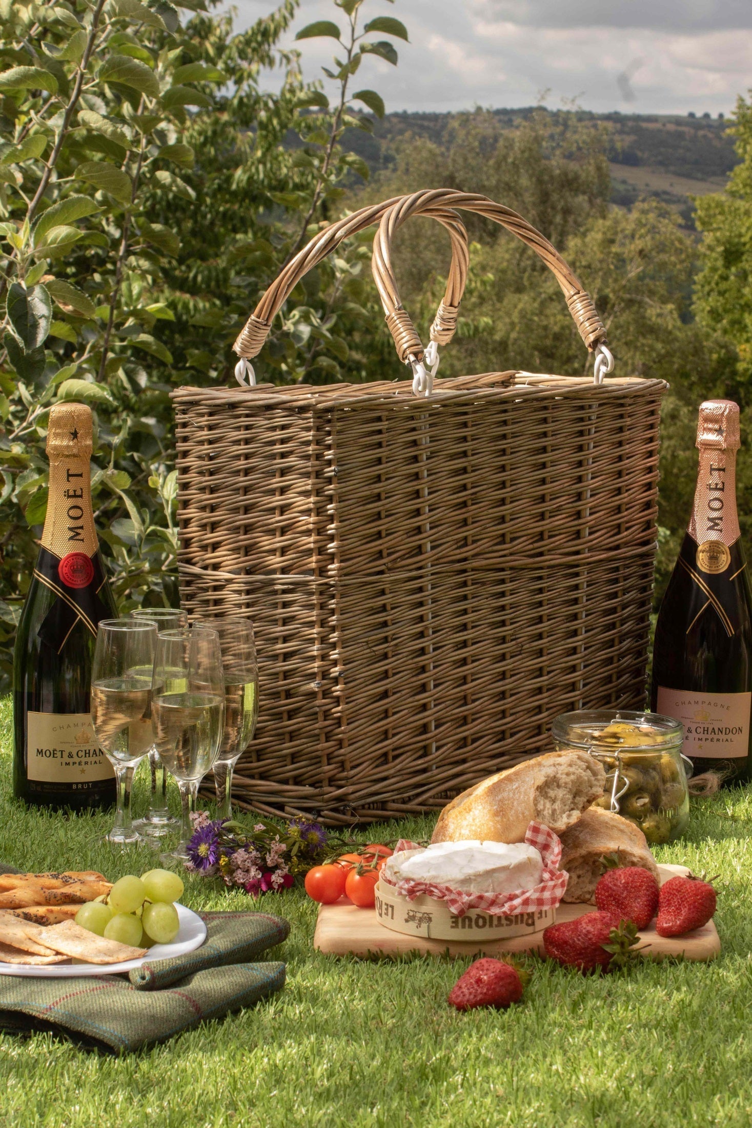 Cooler Basket - REGN