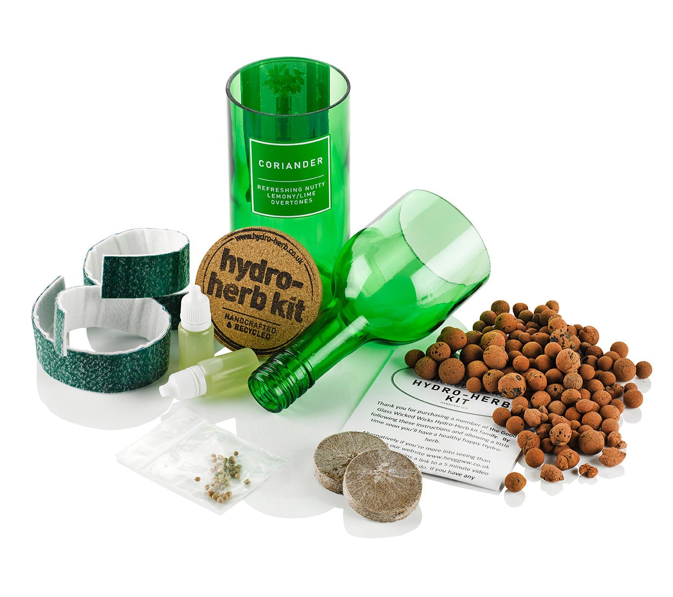 Coriander - REGN