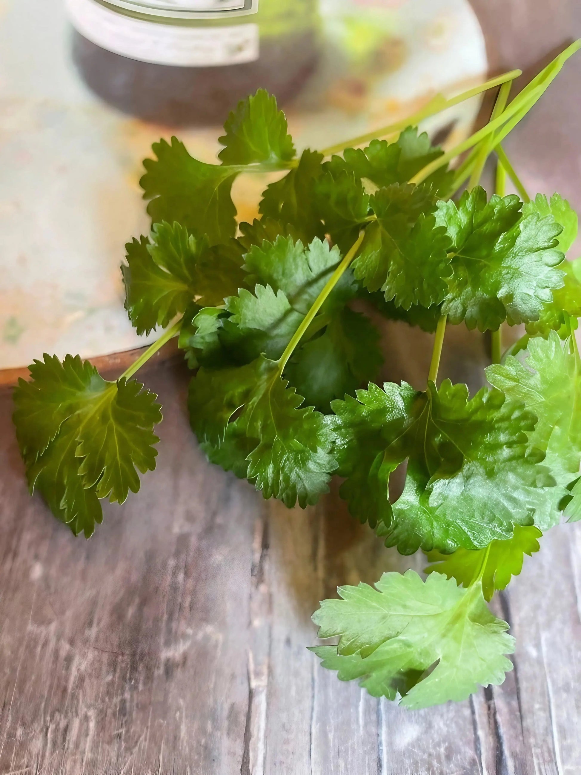 Coriander 'Slow Bolt' - REGN