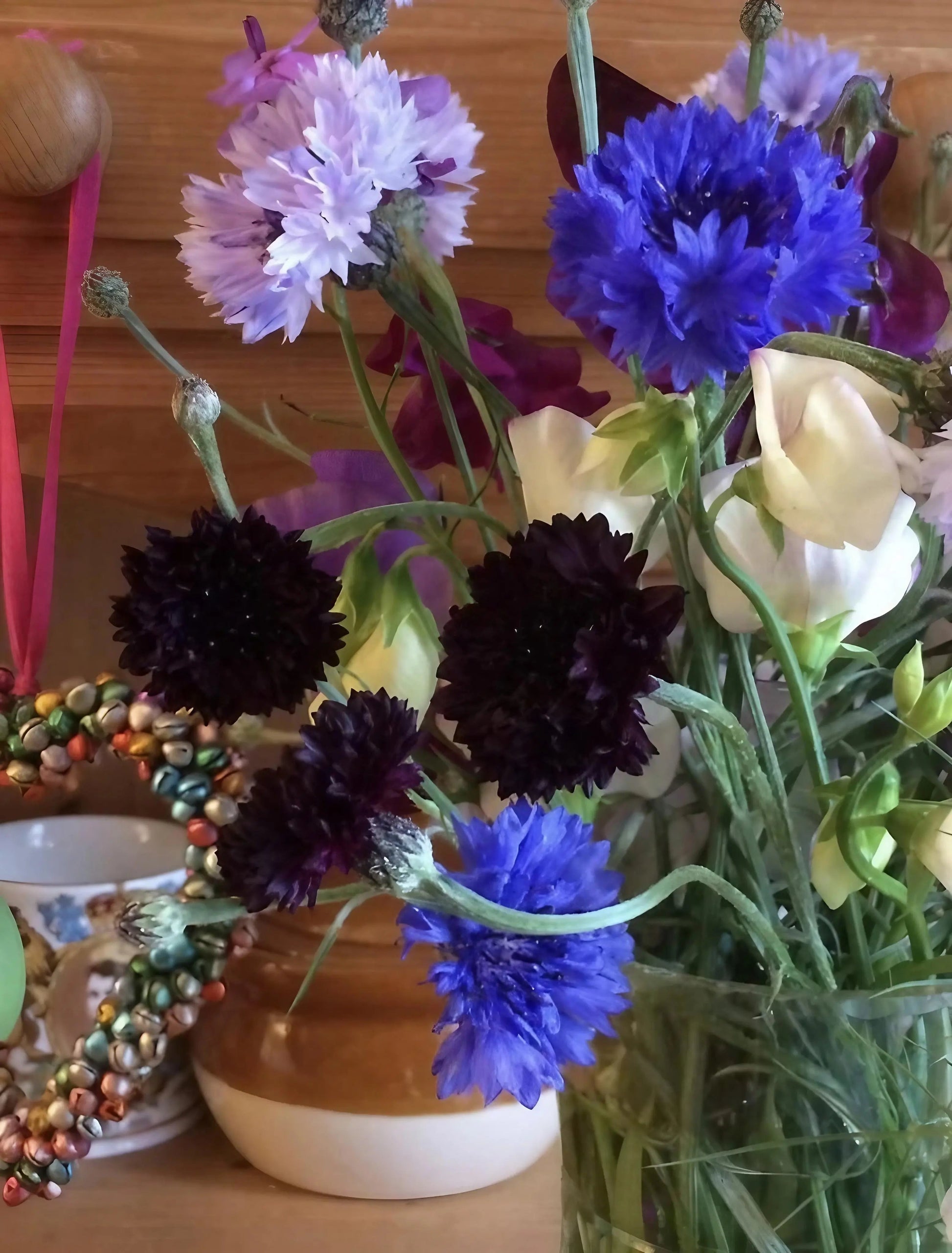 Cornflower Black Ball - REGN
