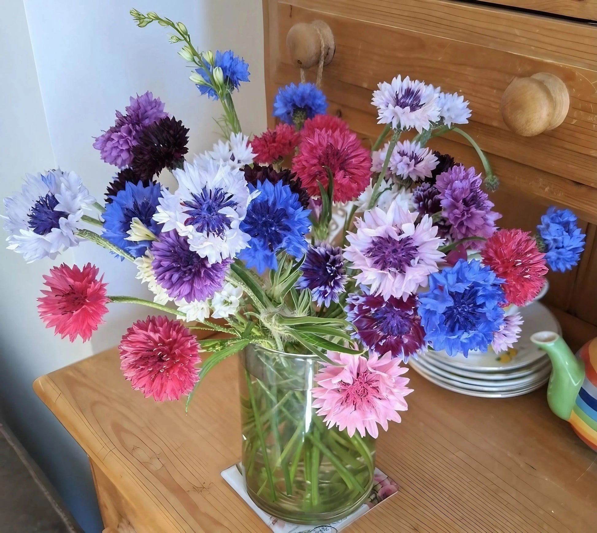 Cornflower Polka Dot Mixed - REGN
