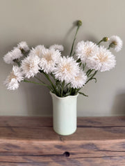 Cornflower Snowman - REGN