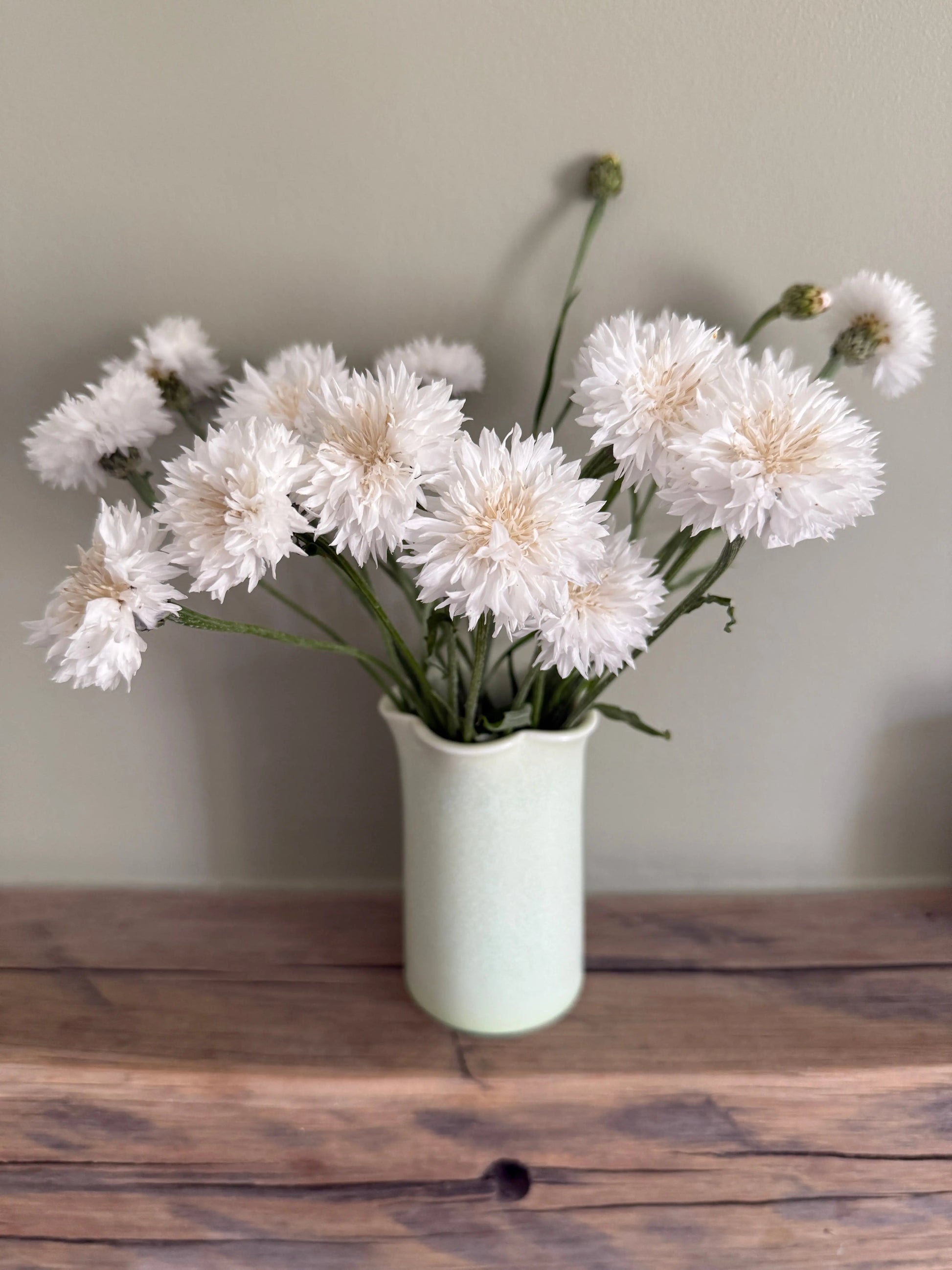 Cornflower Snowman - REGN